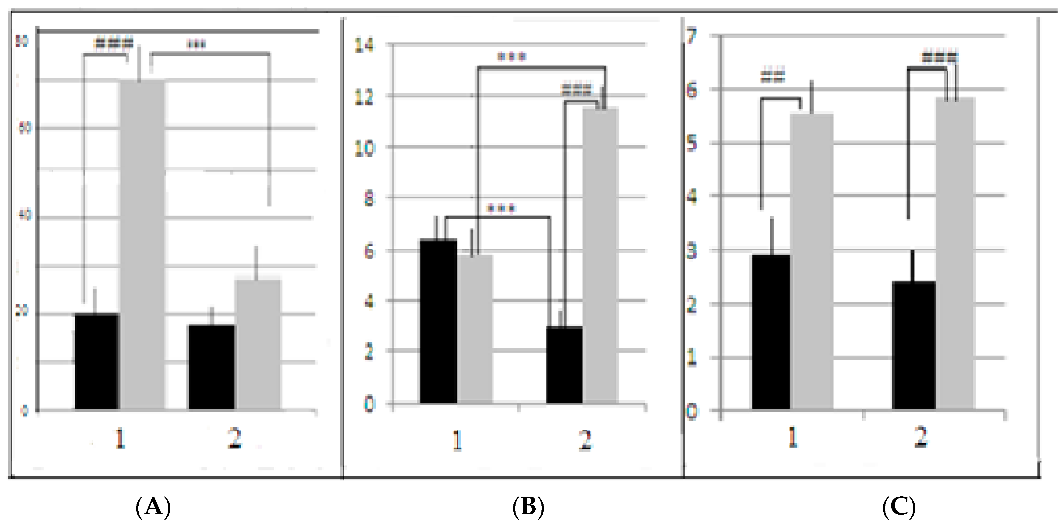 Neurolint 15 00041 g005