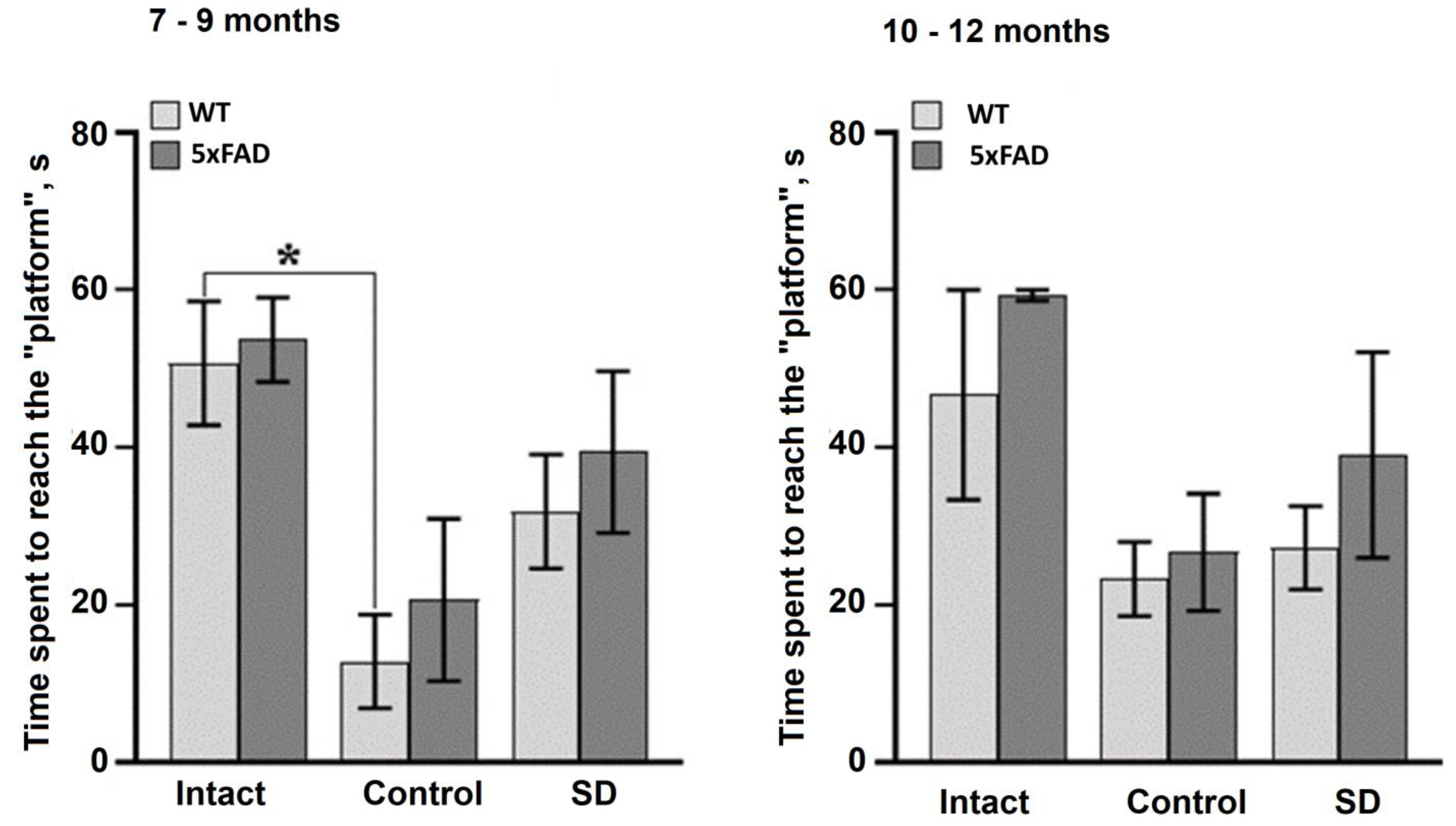 Neurolint 15 00049 g003
