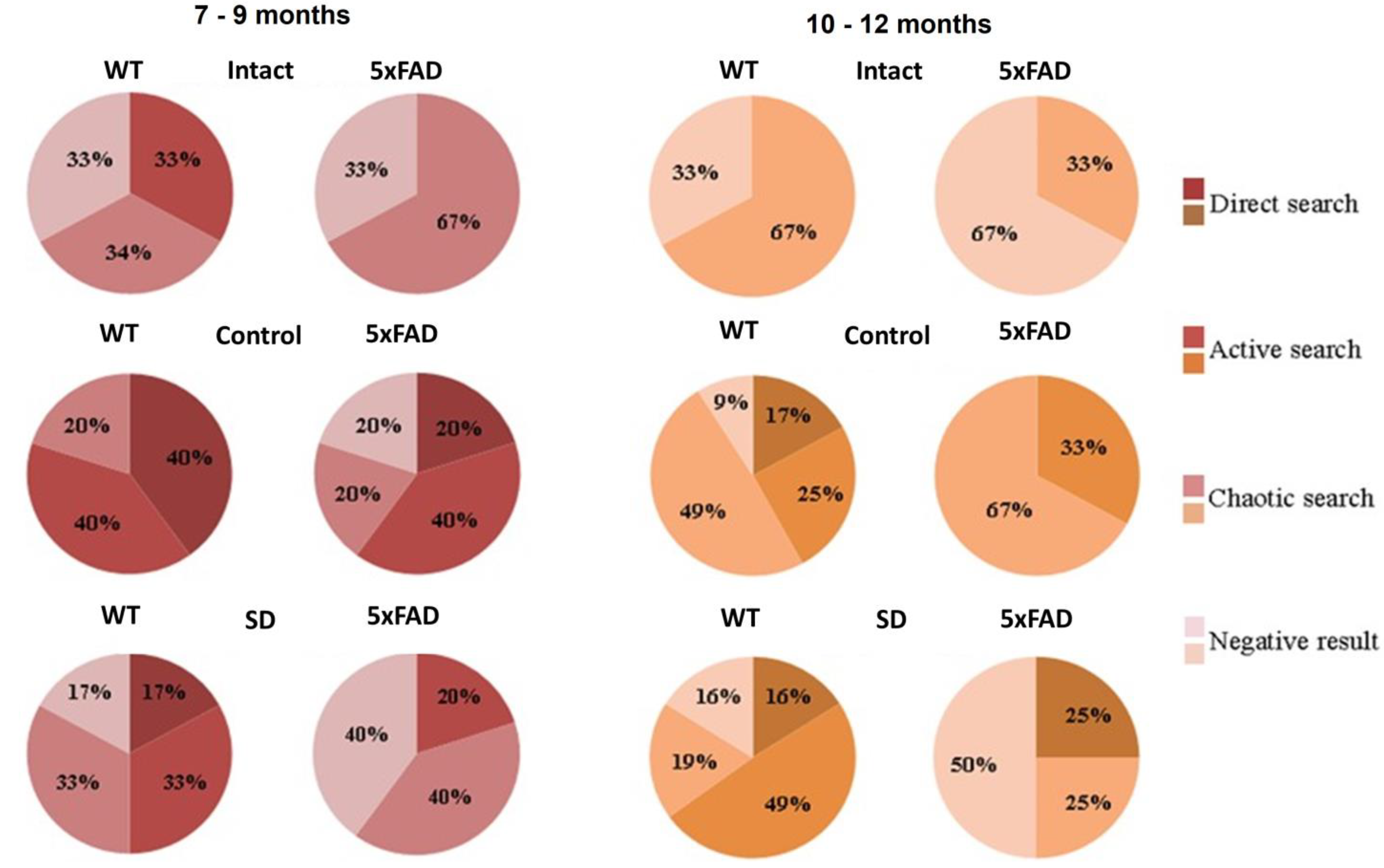 Neurolint 15 00049 g004