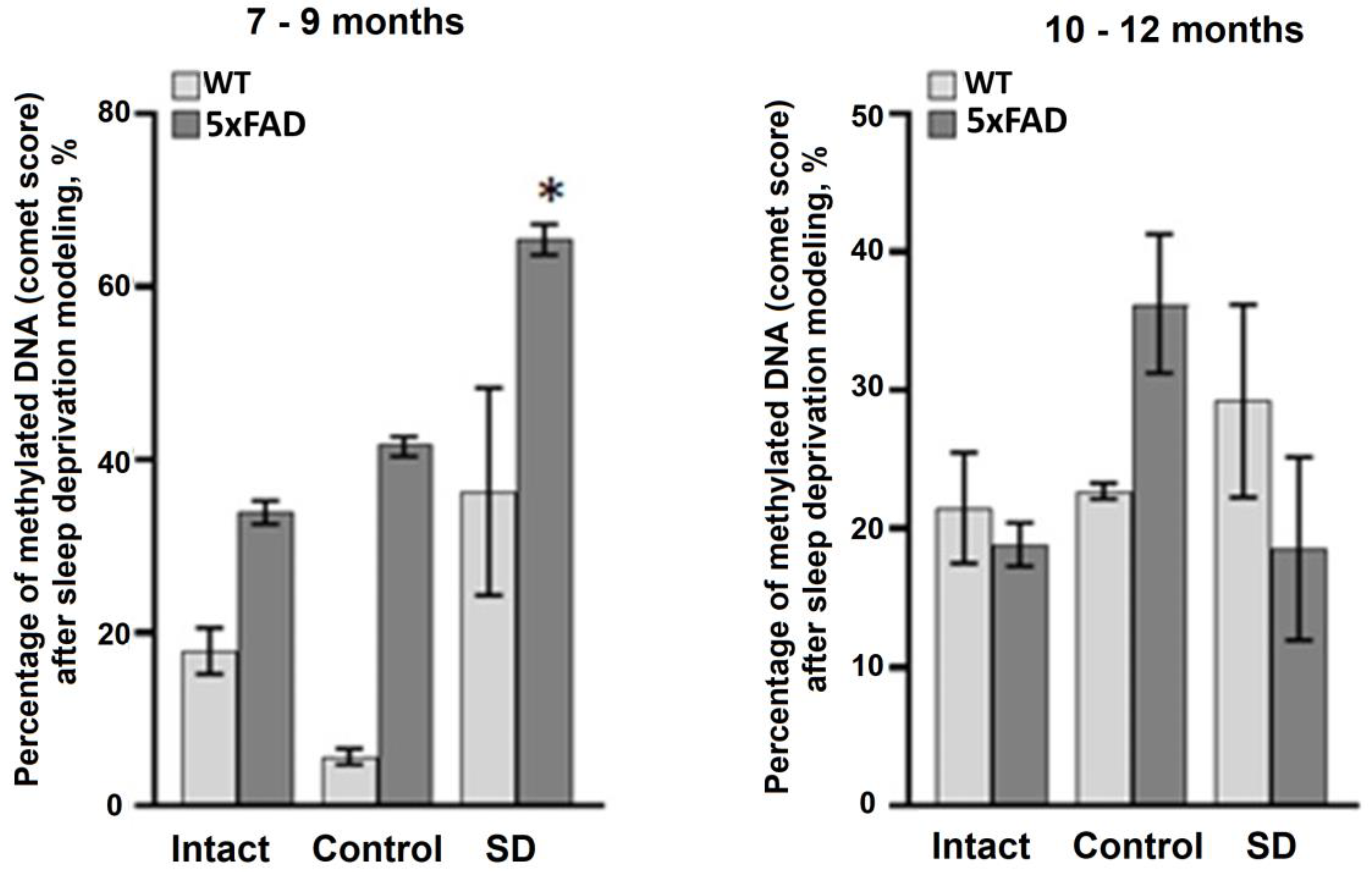 Neurolint 15 00049 g005