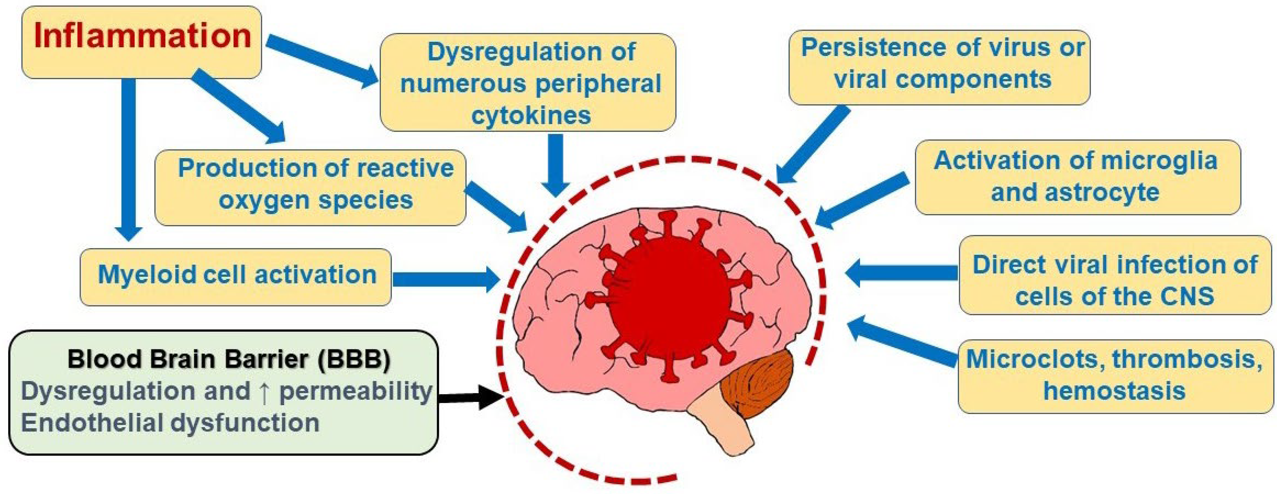 Distinguishing COVID-19 Brain Fog from Dementia, Delirium and