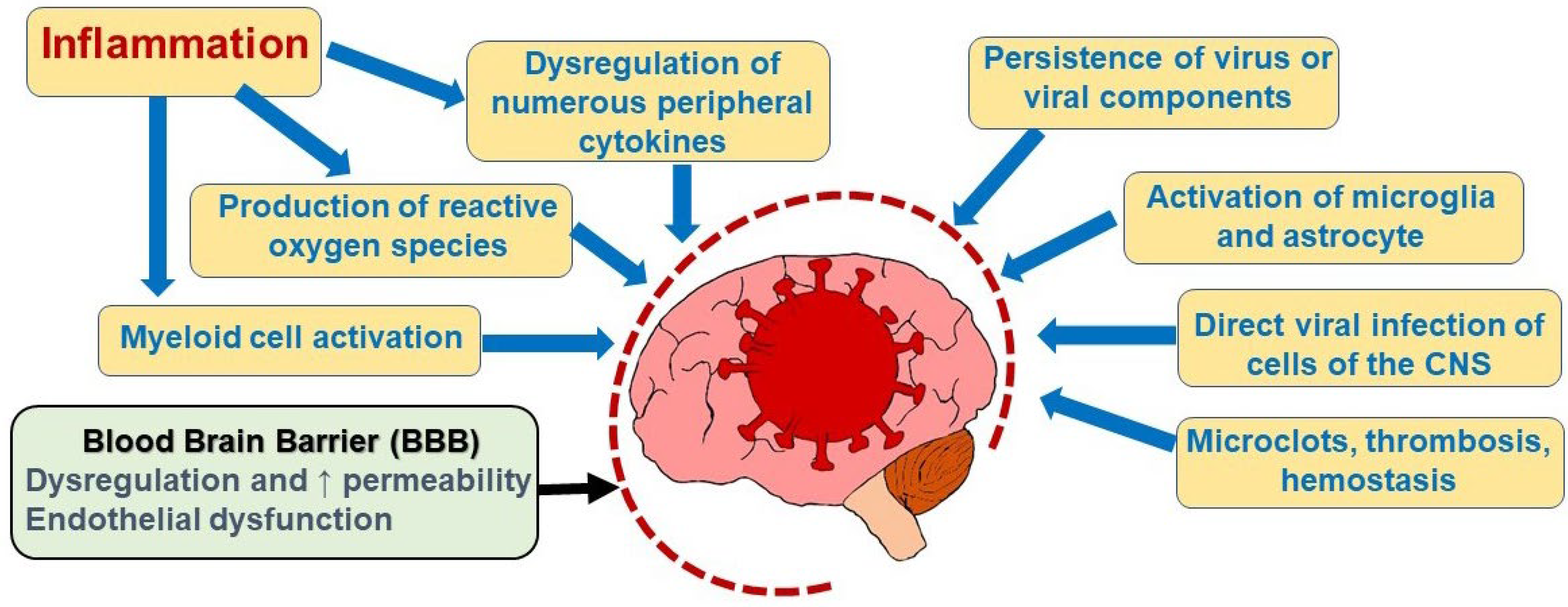 https://www.mdpi.com/neurolint/neurolint-15-00052/article_deploy/html/images/neurolint-15-00052-g001.png