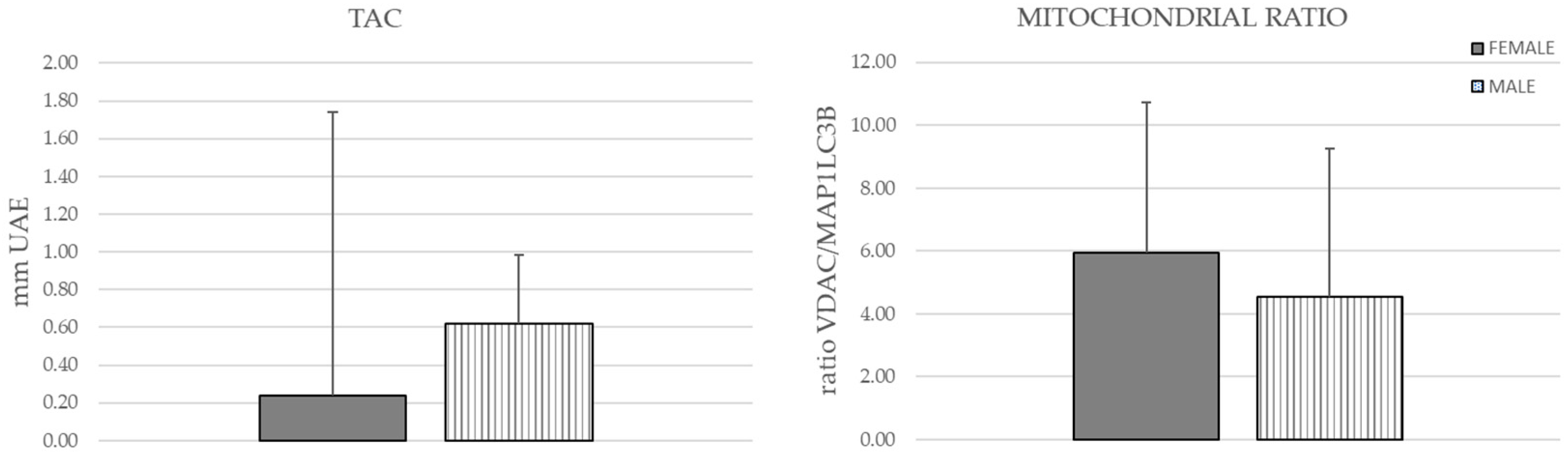 Neurolint 15 00055 g002