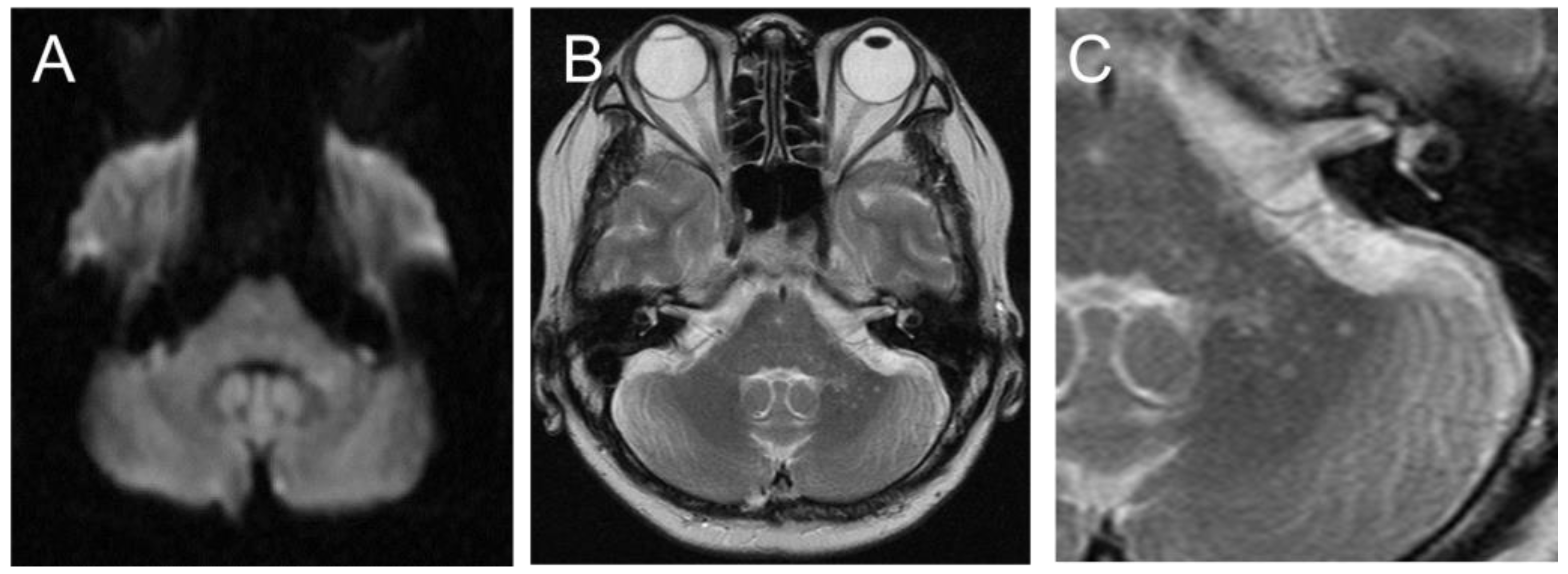 Neurolint 15 00059 g001 Neurolint 15 00059 g001
