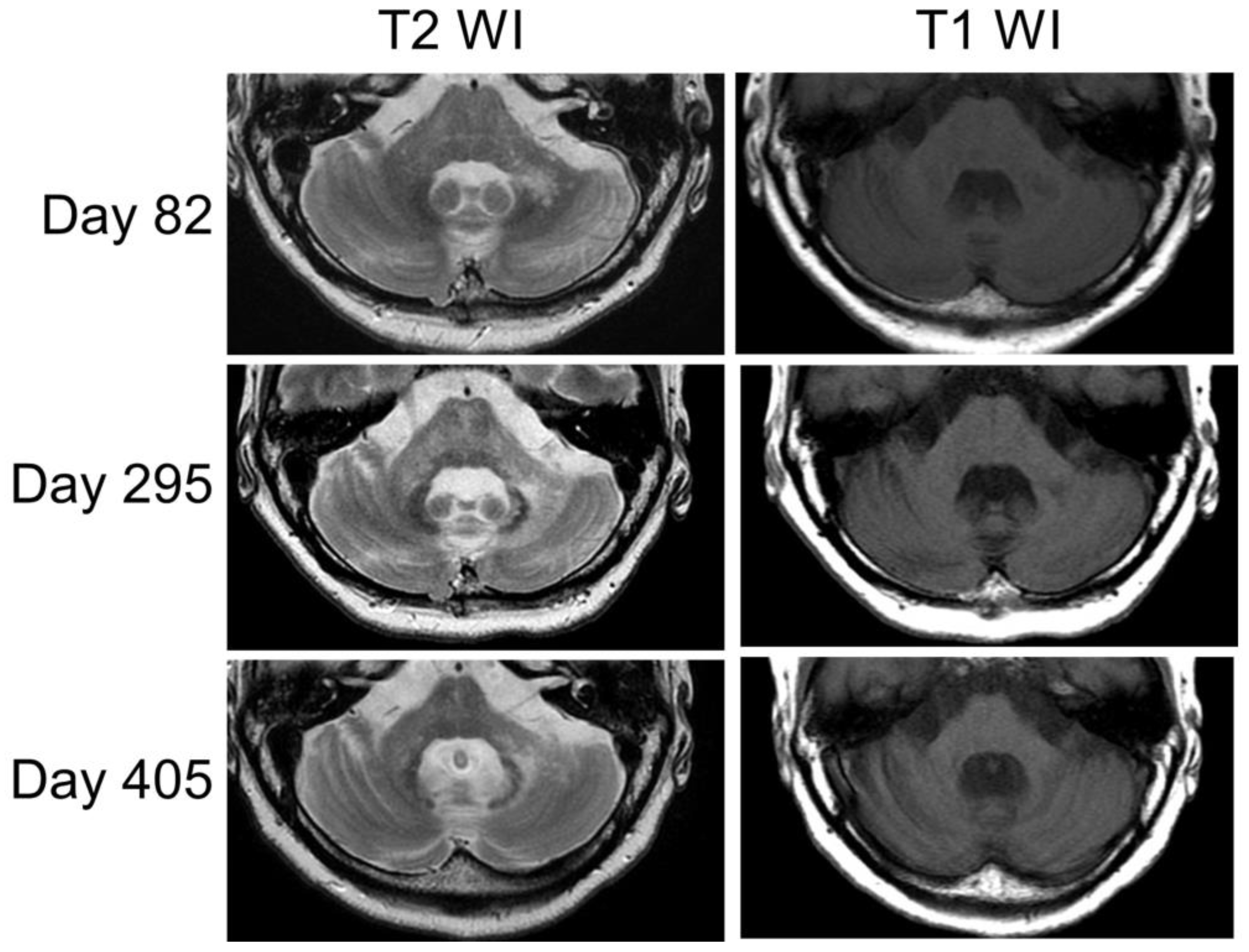 Neurolint 15 00059 g003 Neurolint 15 00059 g003