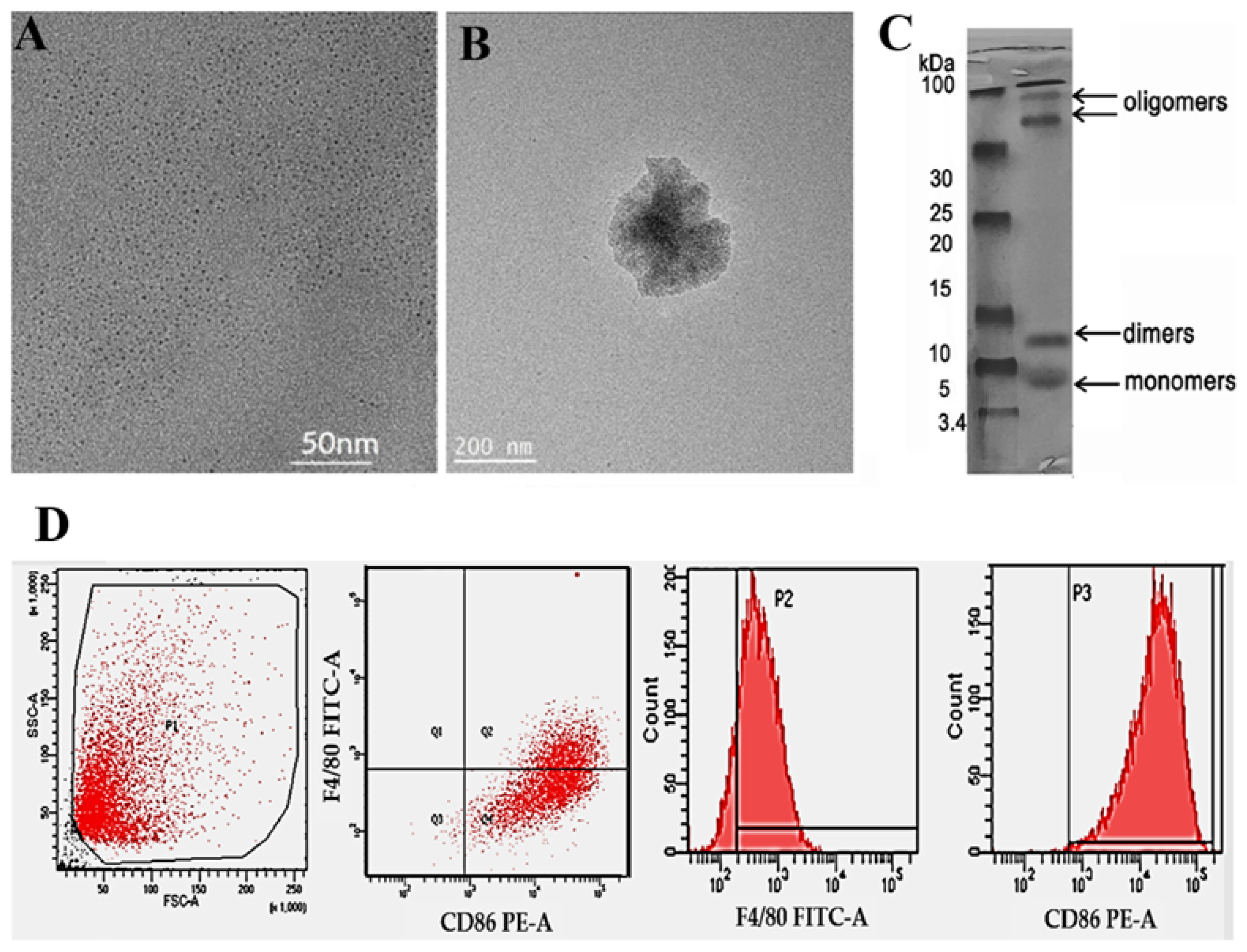 Neurolint 15 00061 g001