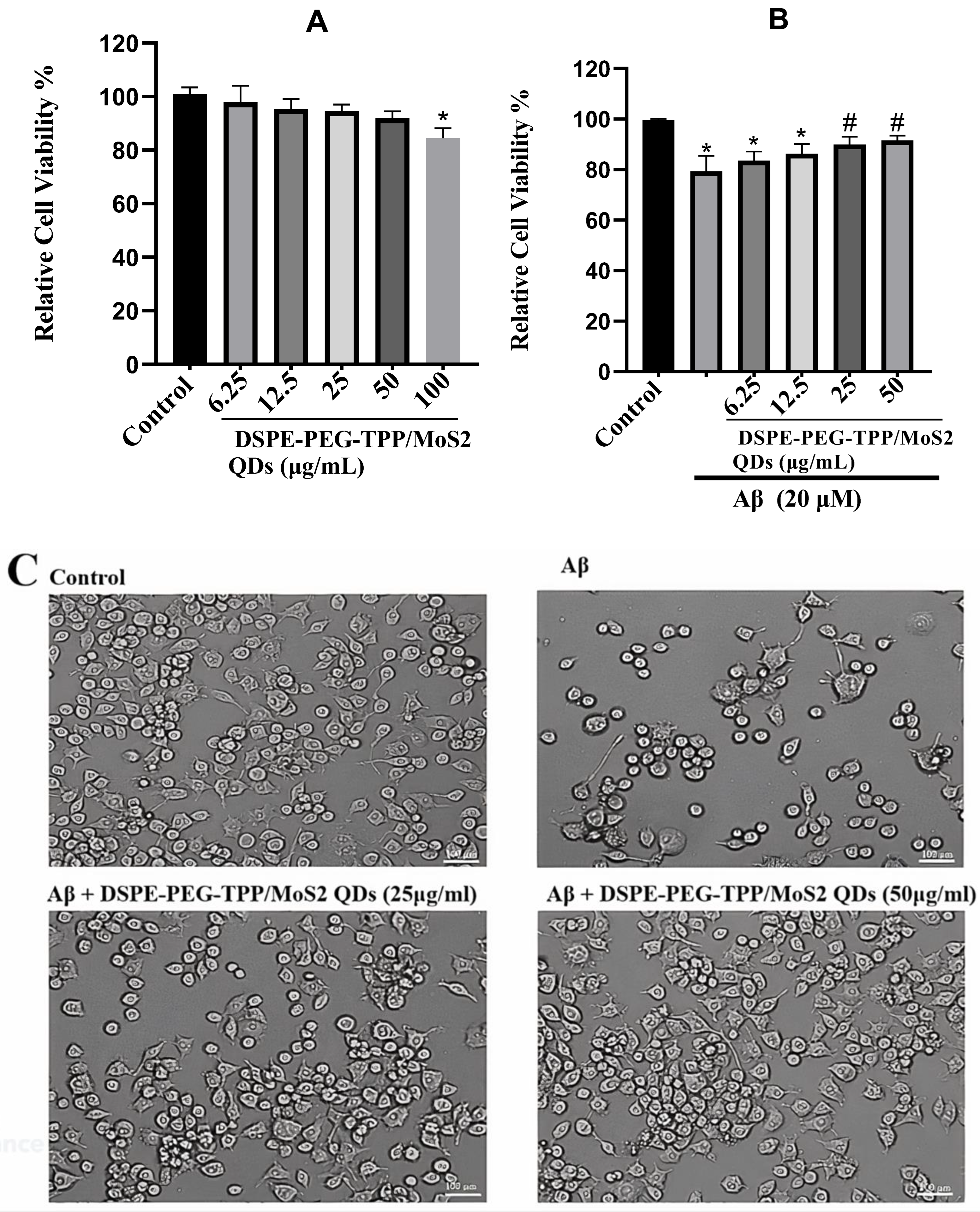Neurolint 15 00061 g002