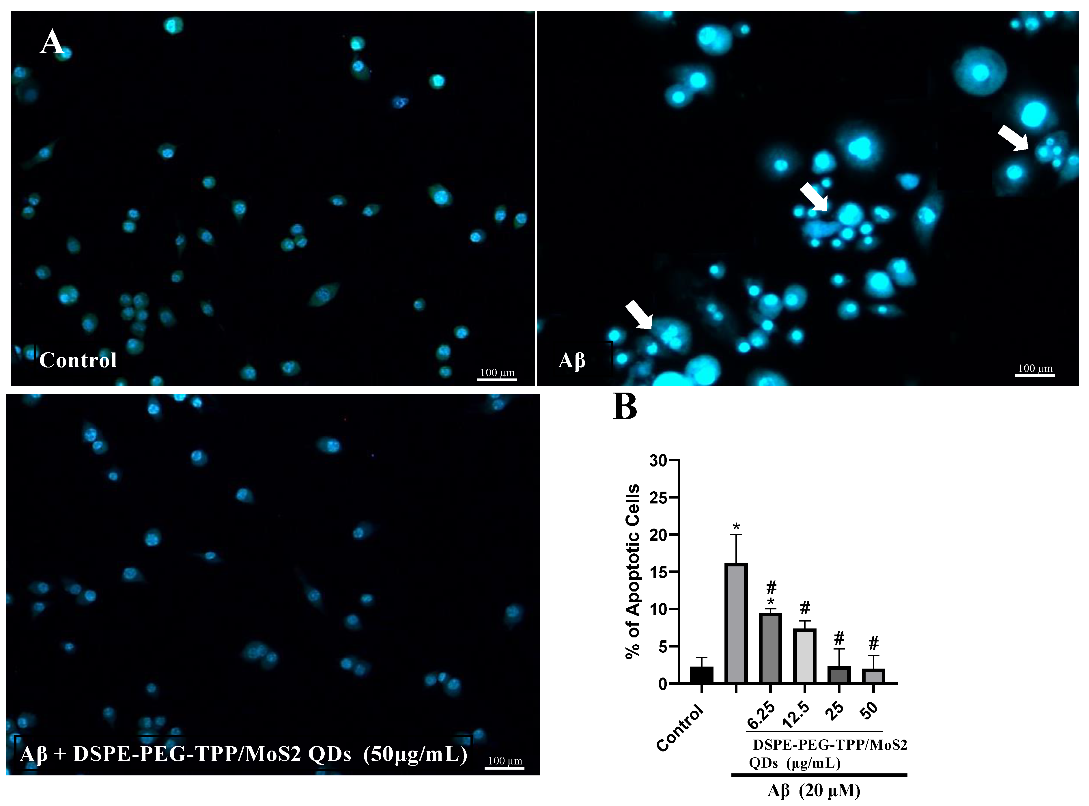 Neurolint 15 00061 g003