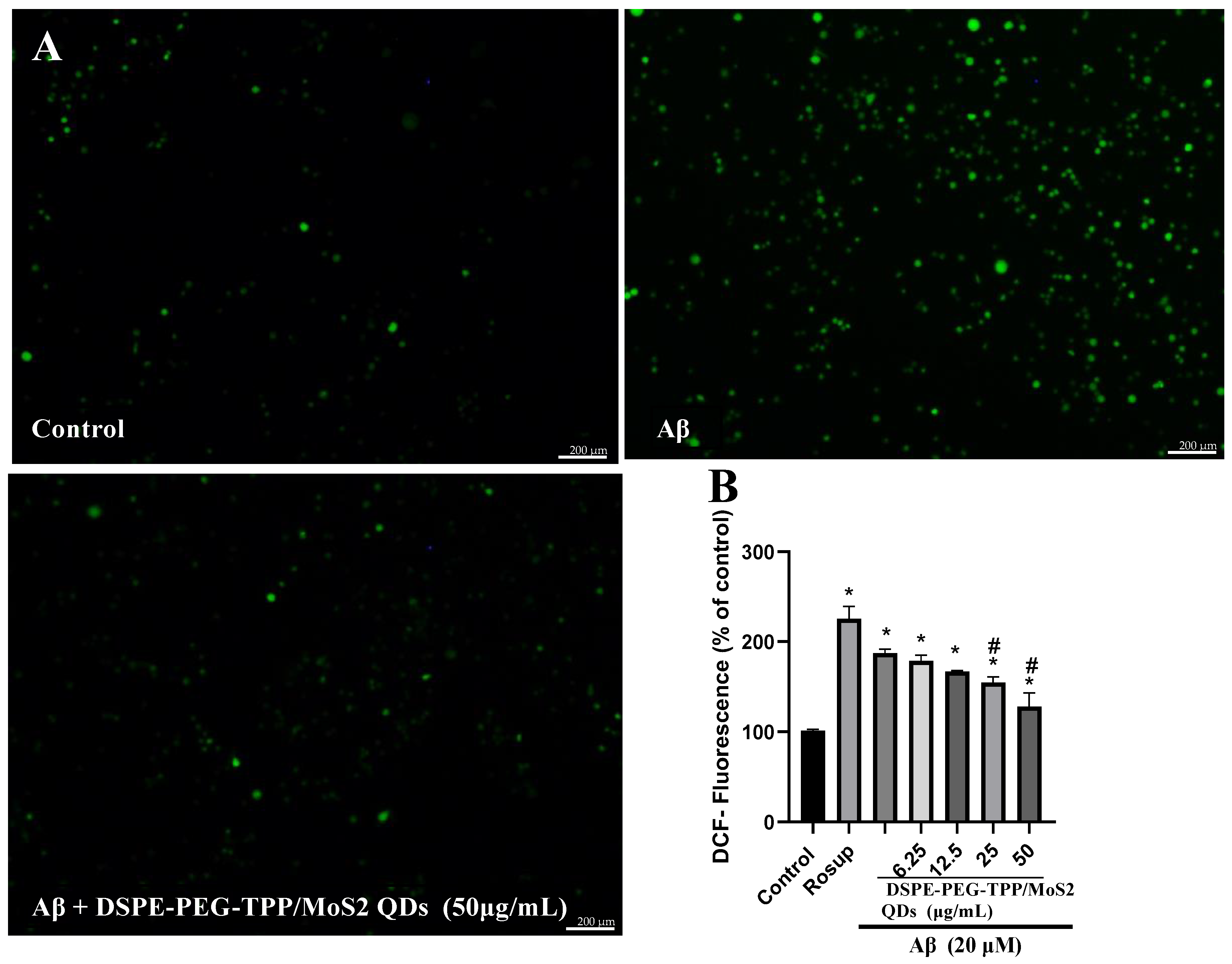 Neurolint 15 00061 g004