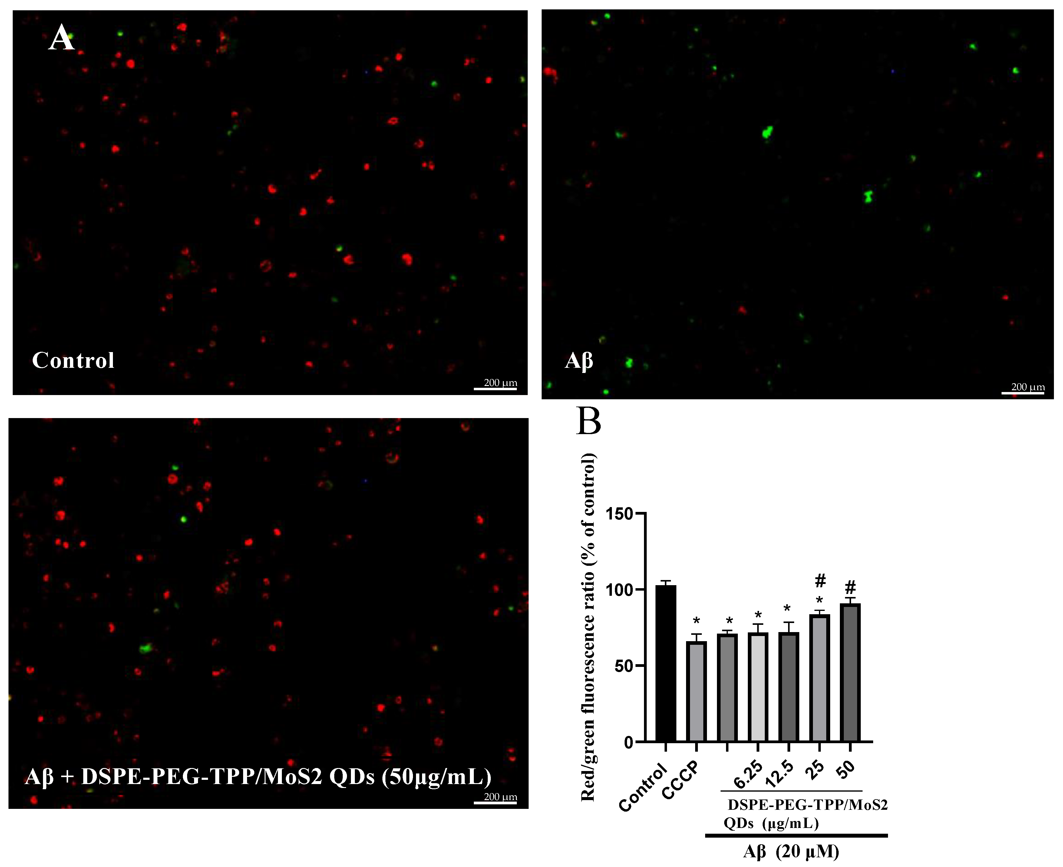 Neurolint 15 00061 g005