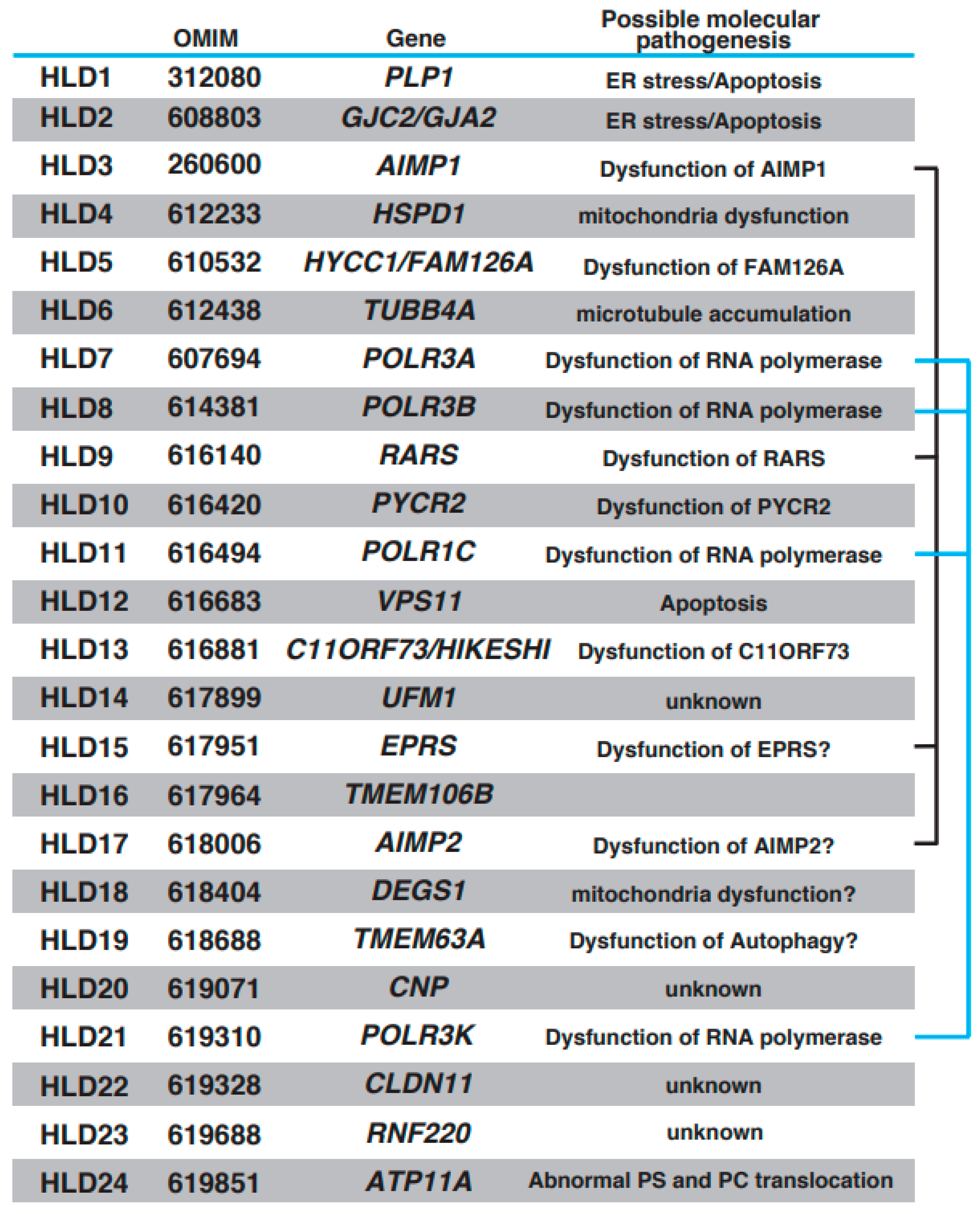 Neurolint 15 00072 g001