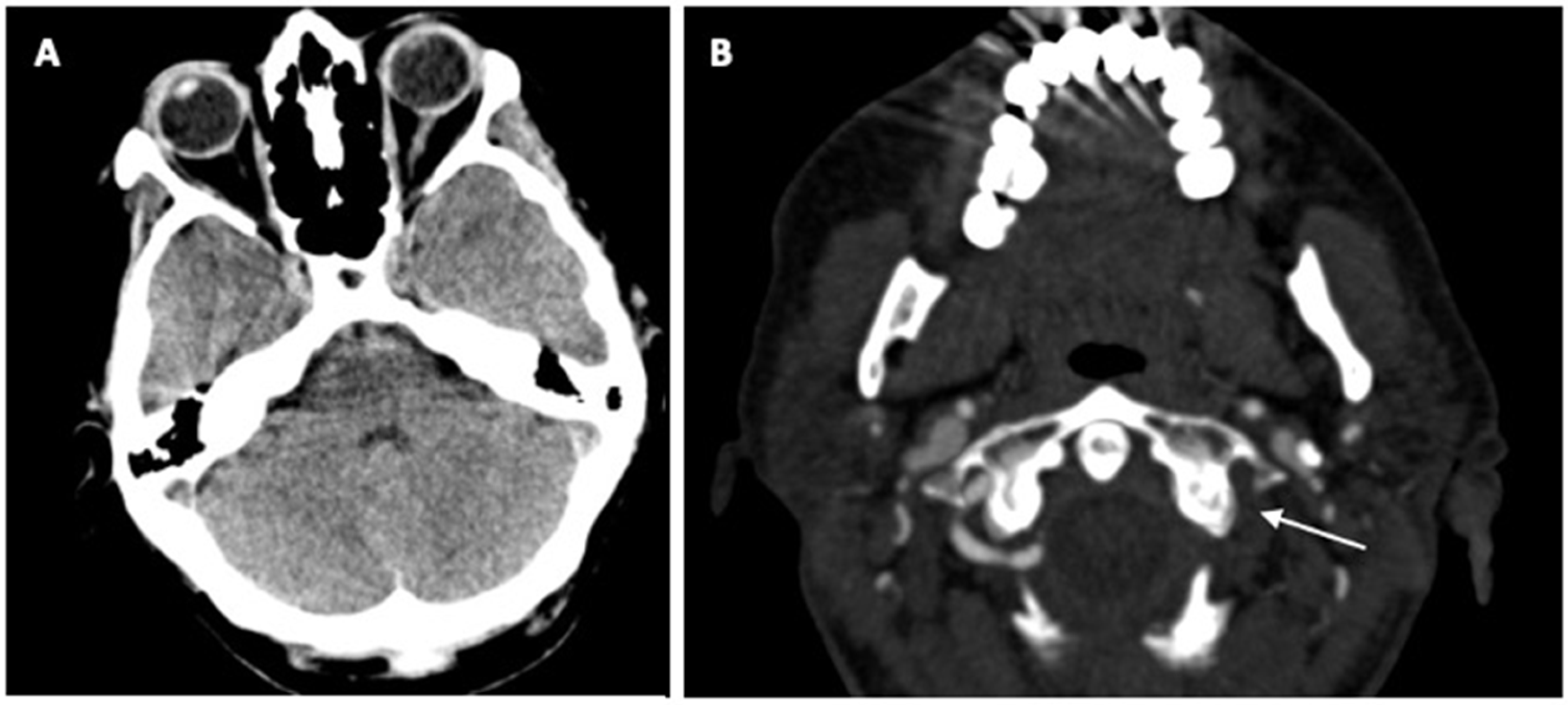 Neurolint 15 00074 g001