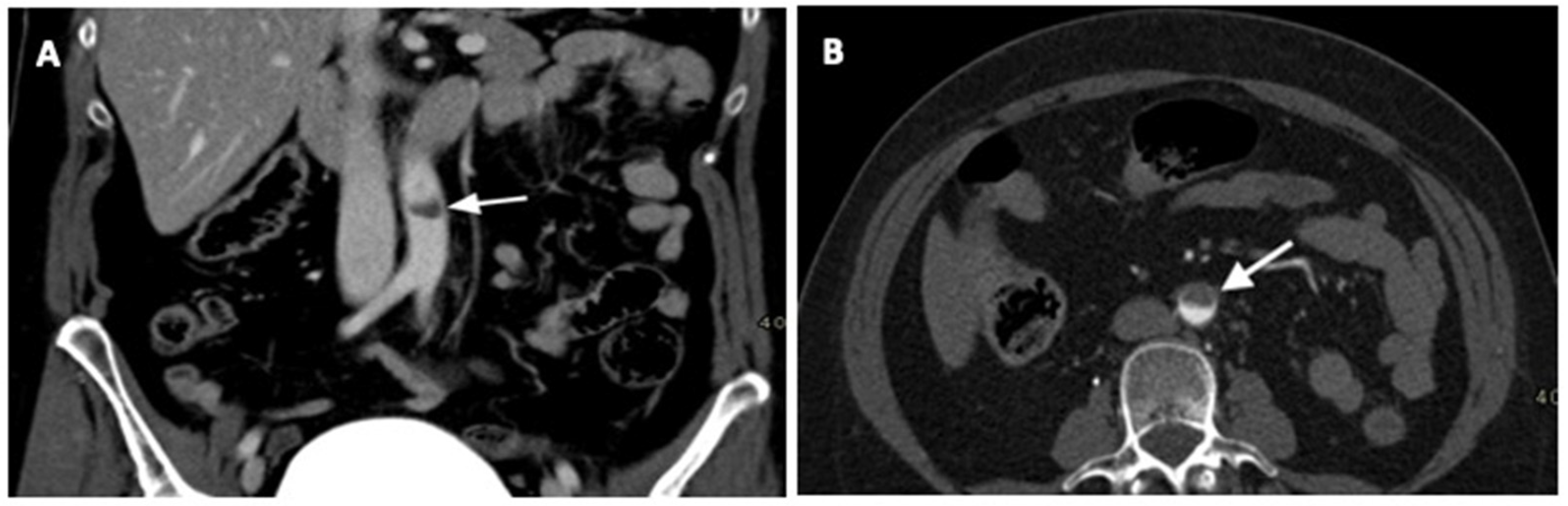 Neurolint 15 00074 g002