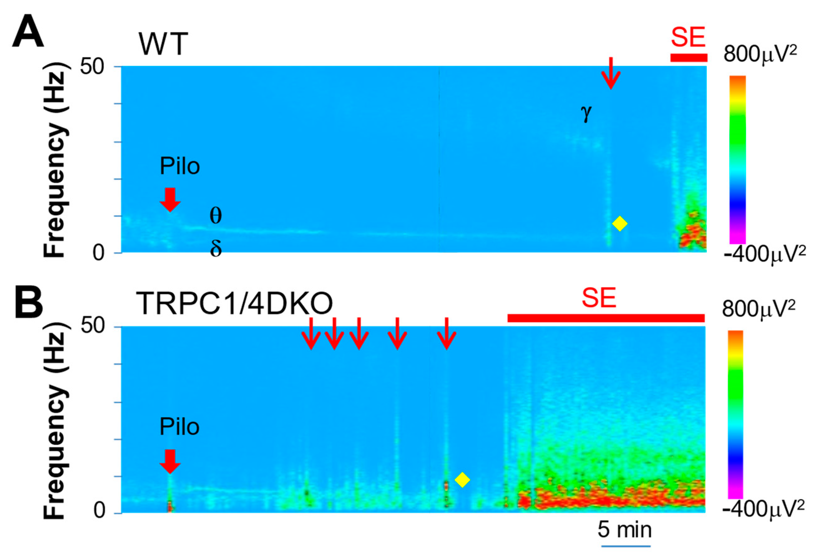 Neurolint 15 00095 g004 Neurolint 15 00095 g004