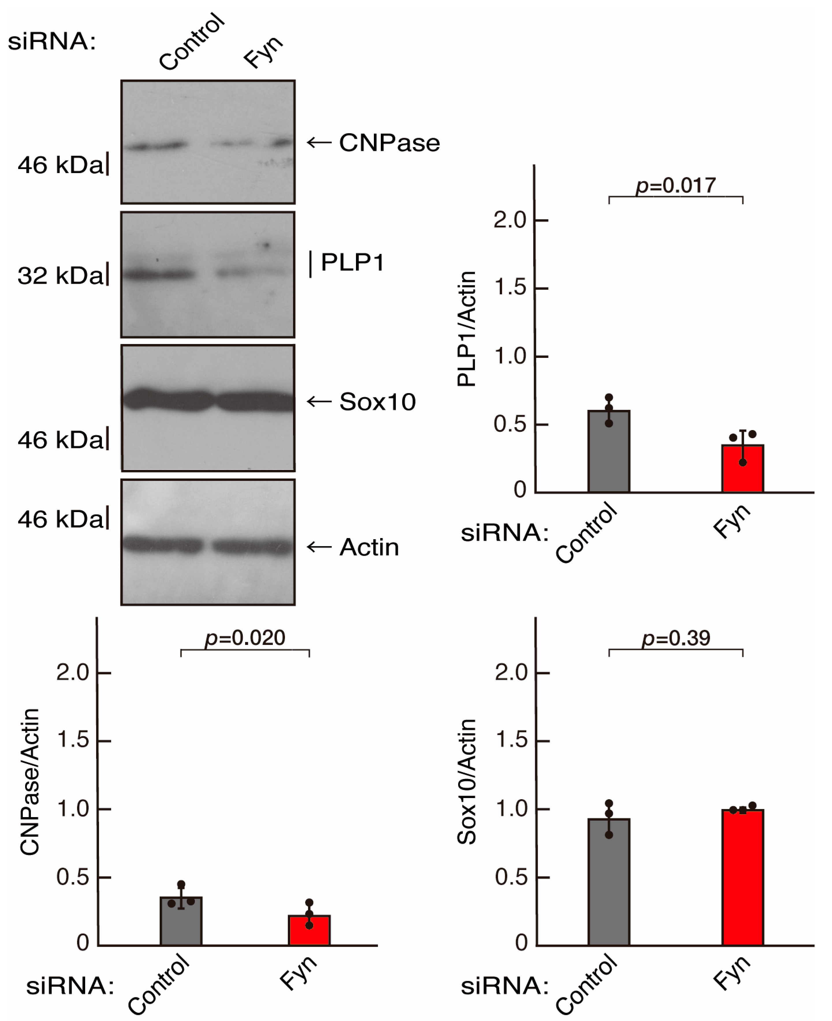Neurolint 16 00003 g008