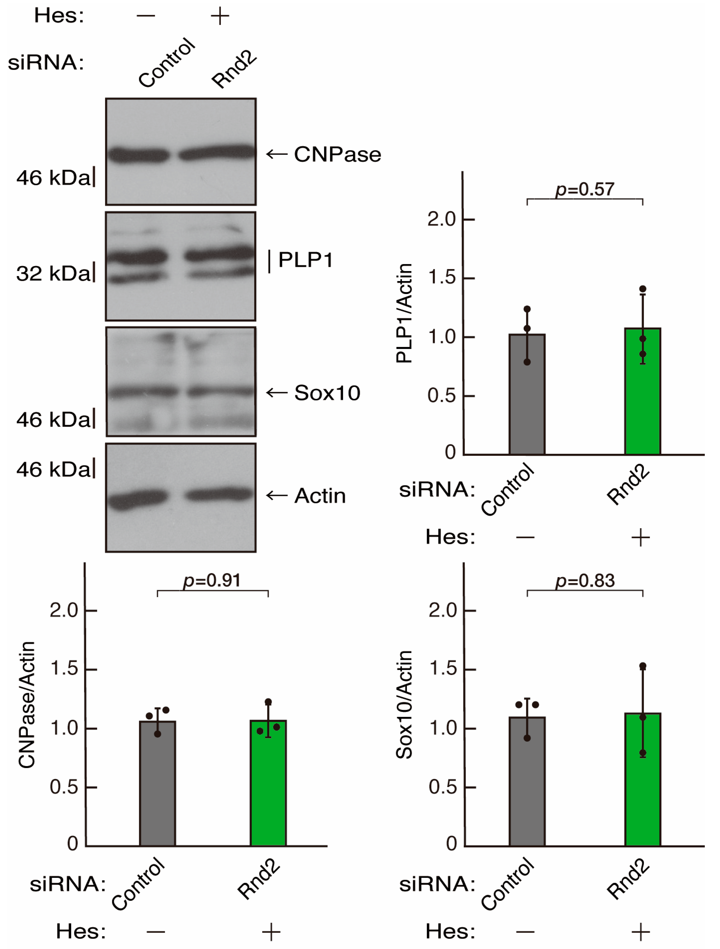 Neurolint 16 00003 g013