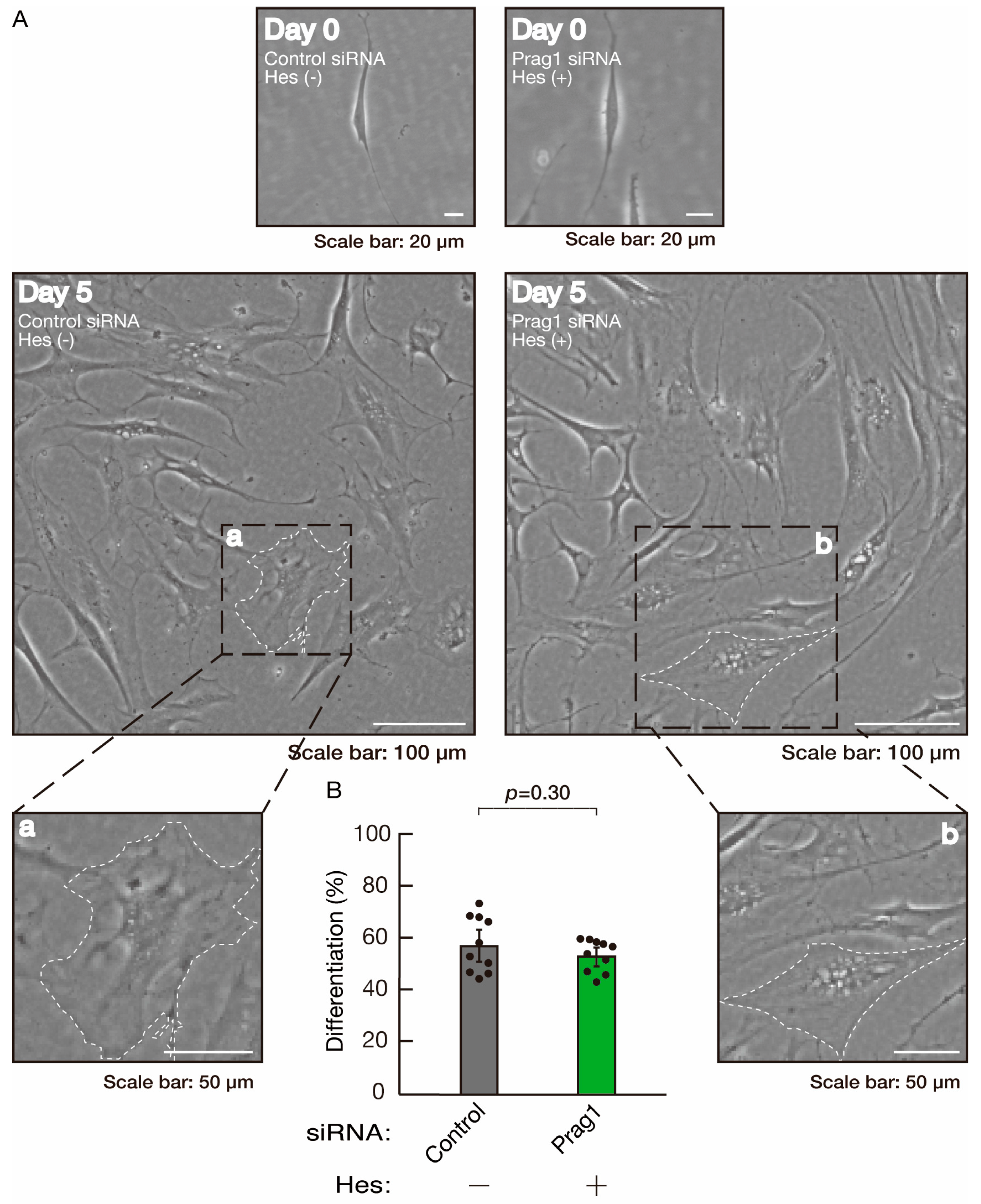 Neurolint 16 00003 g014