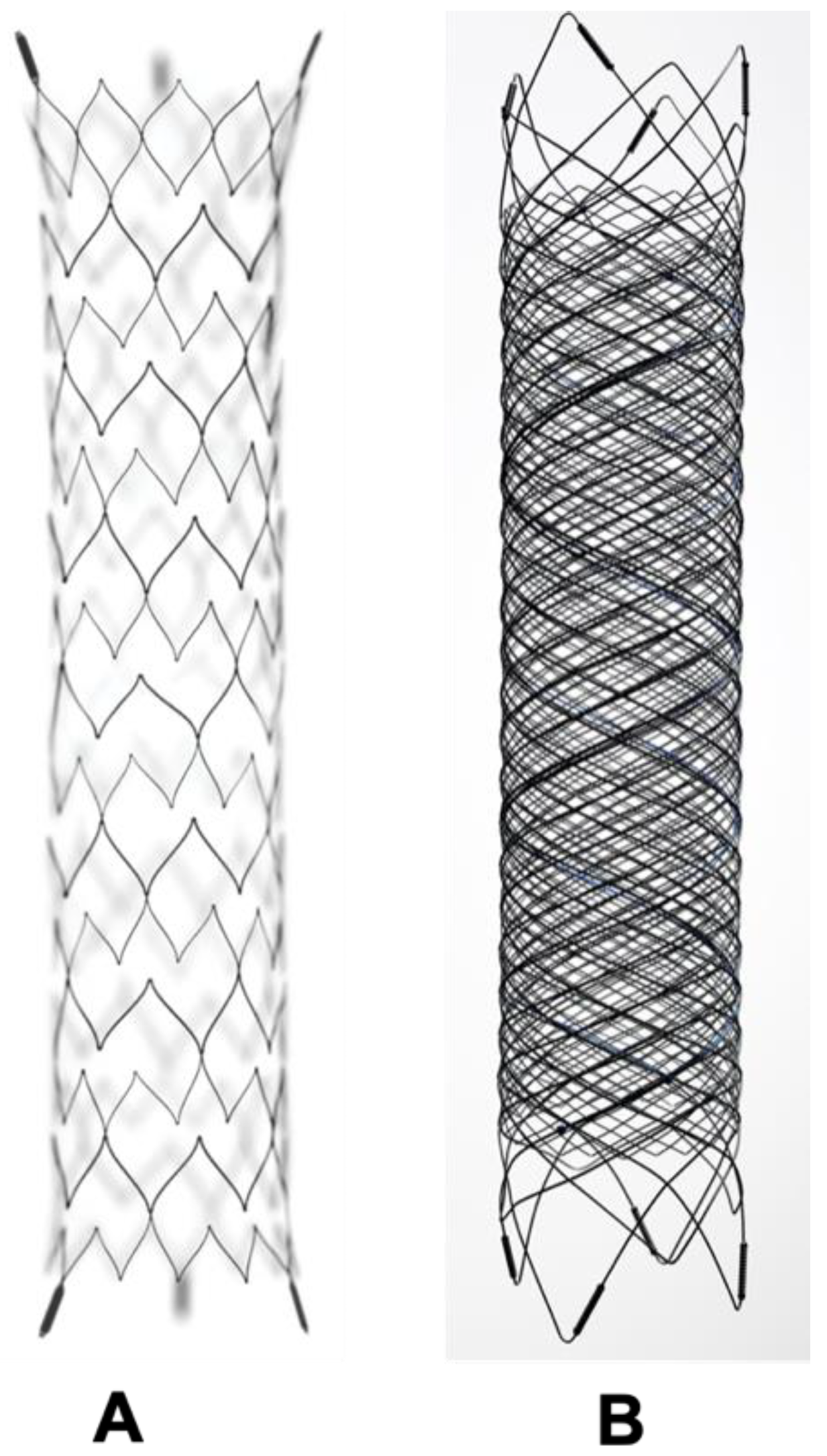 Neurolint 16 00005 g004