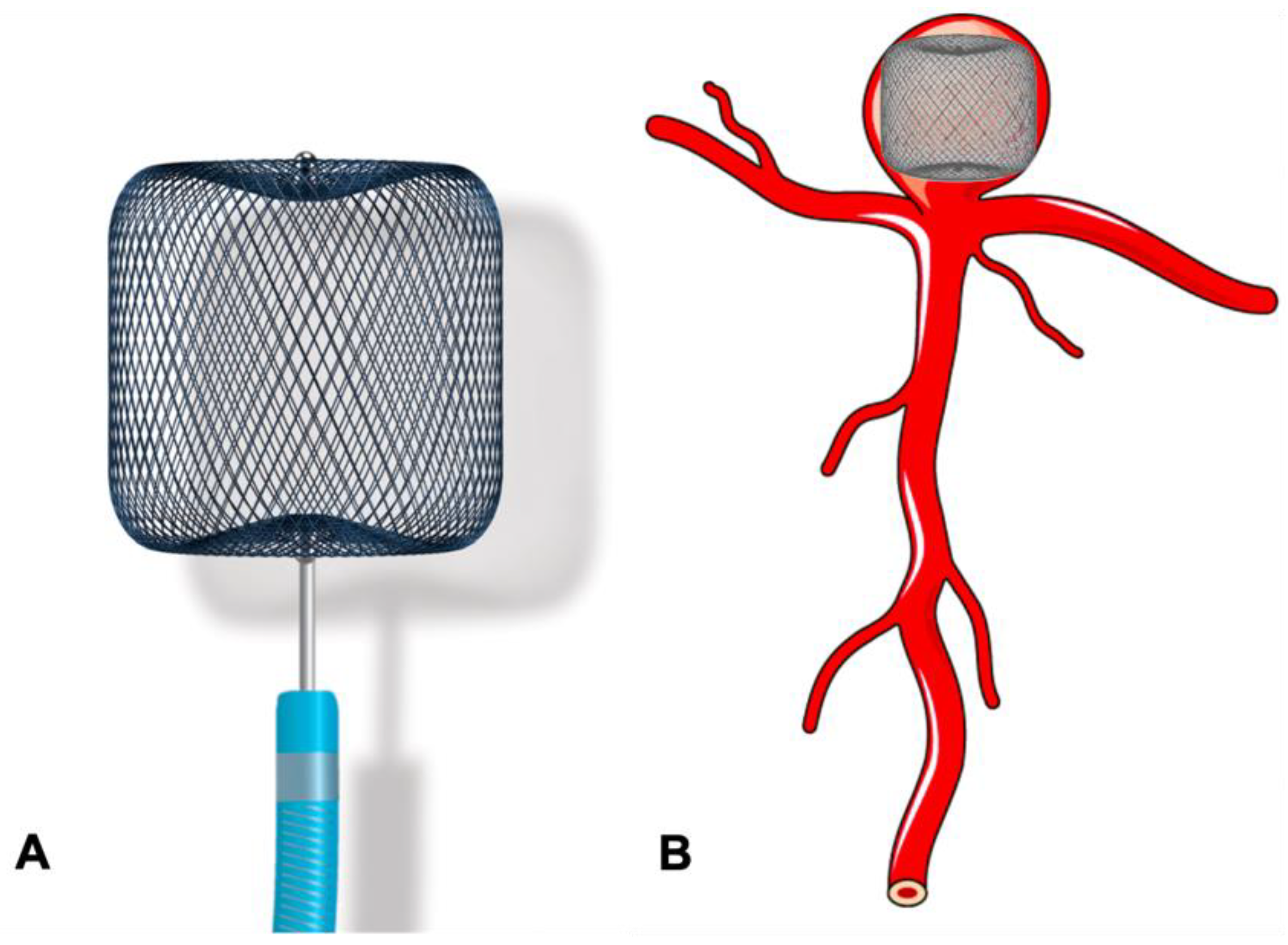 Neurolint 16 00005 g006