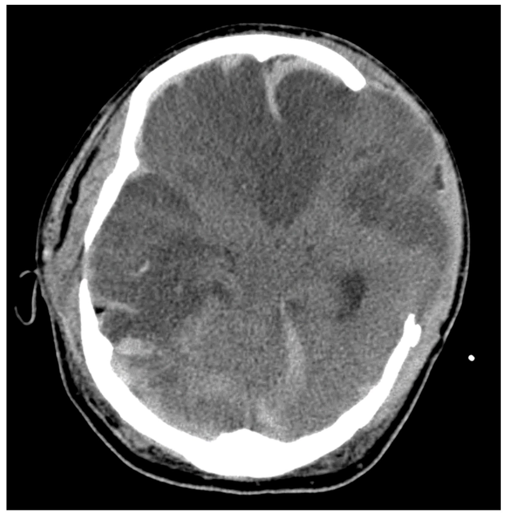 Neurolint 16 00006 g002