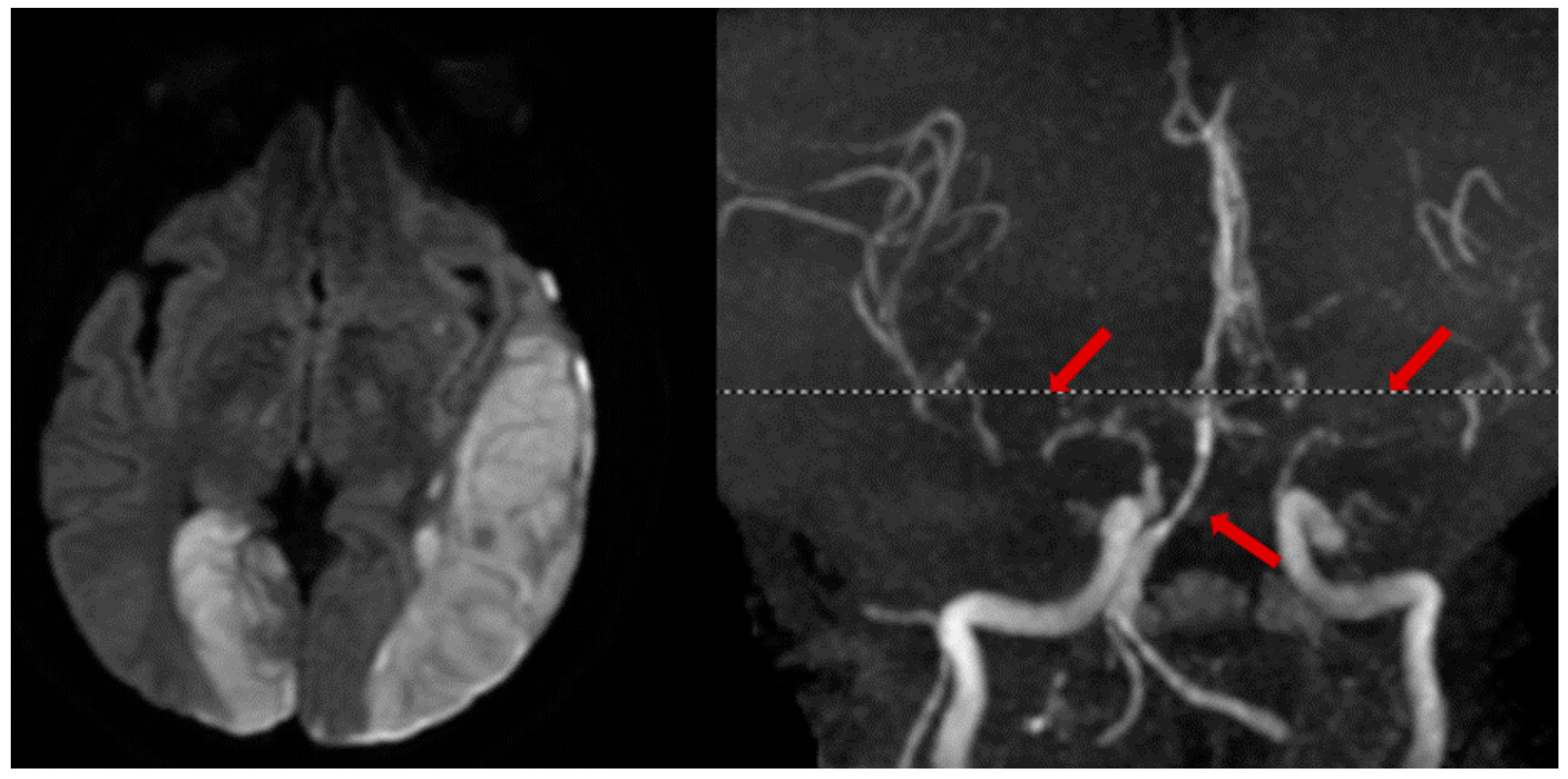 Neurolint 16 00006 g004