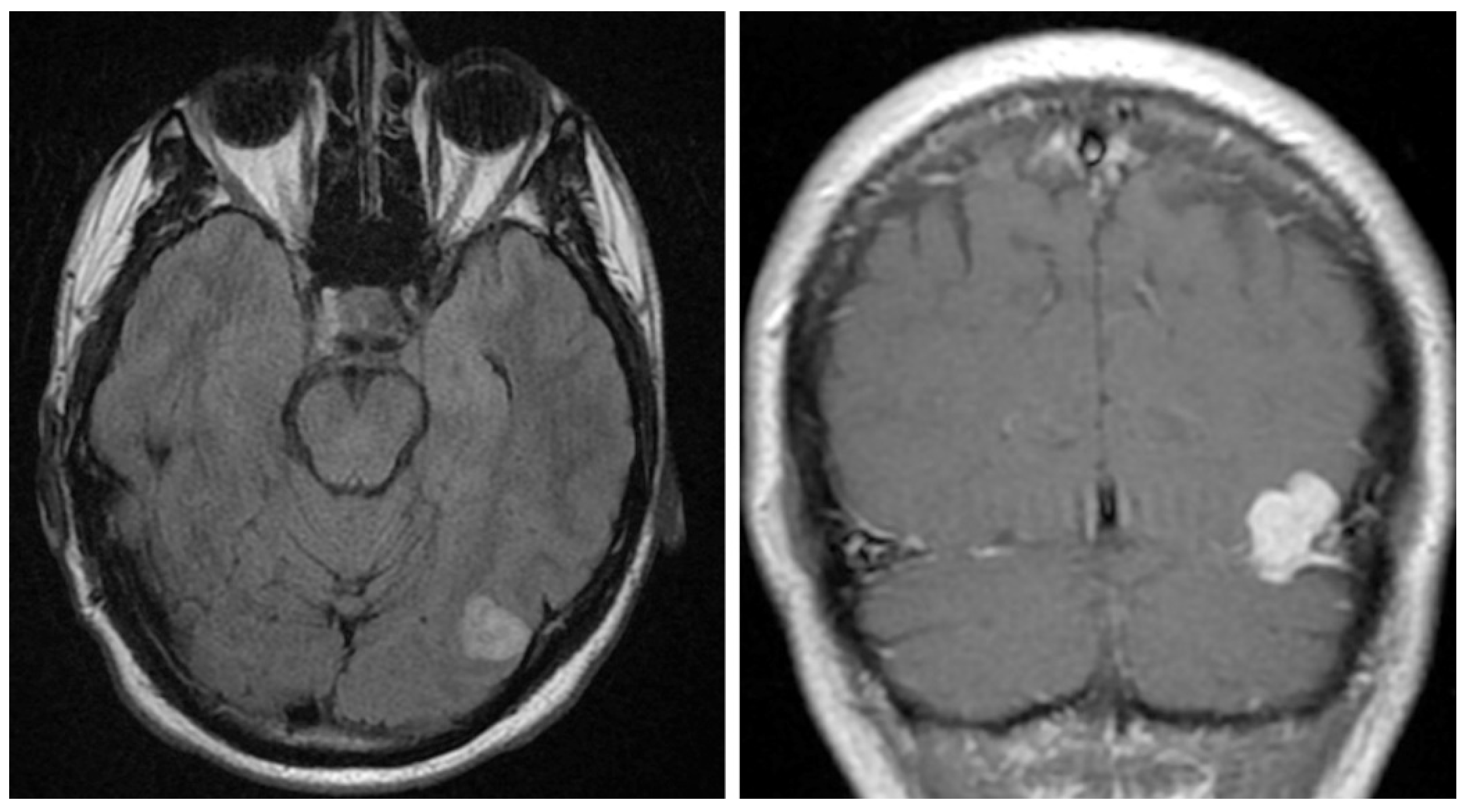 Neurolint 16 00010 g001