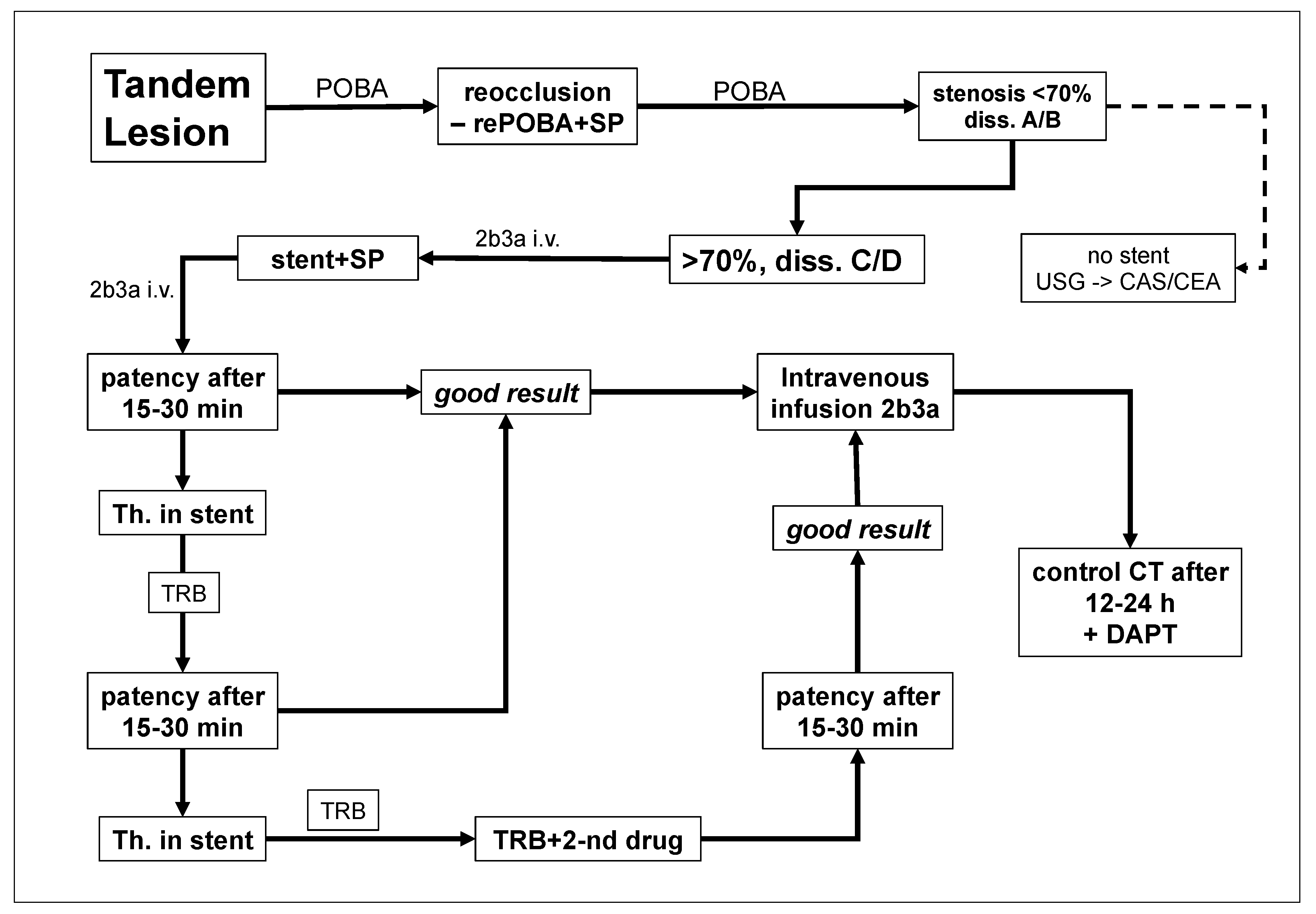 Neurolint 16 00017 g001
