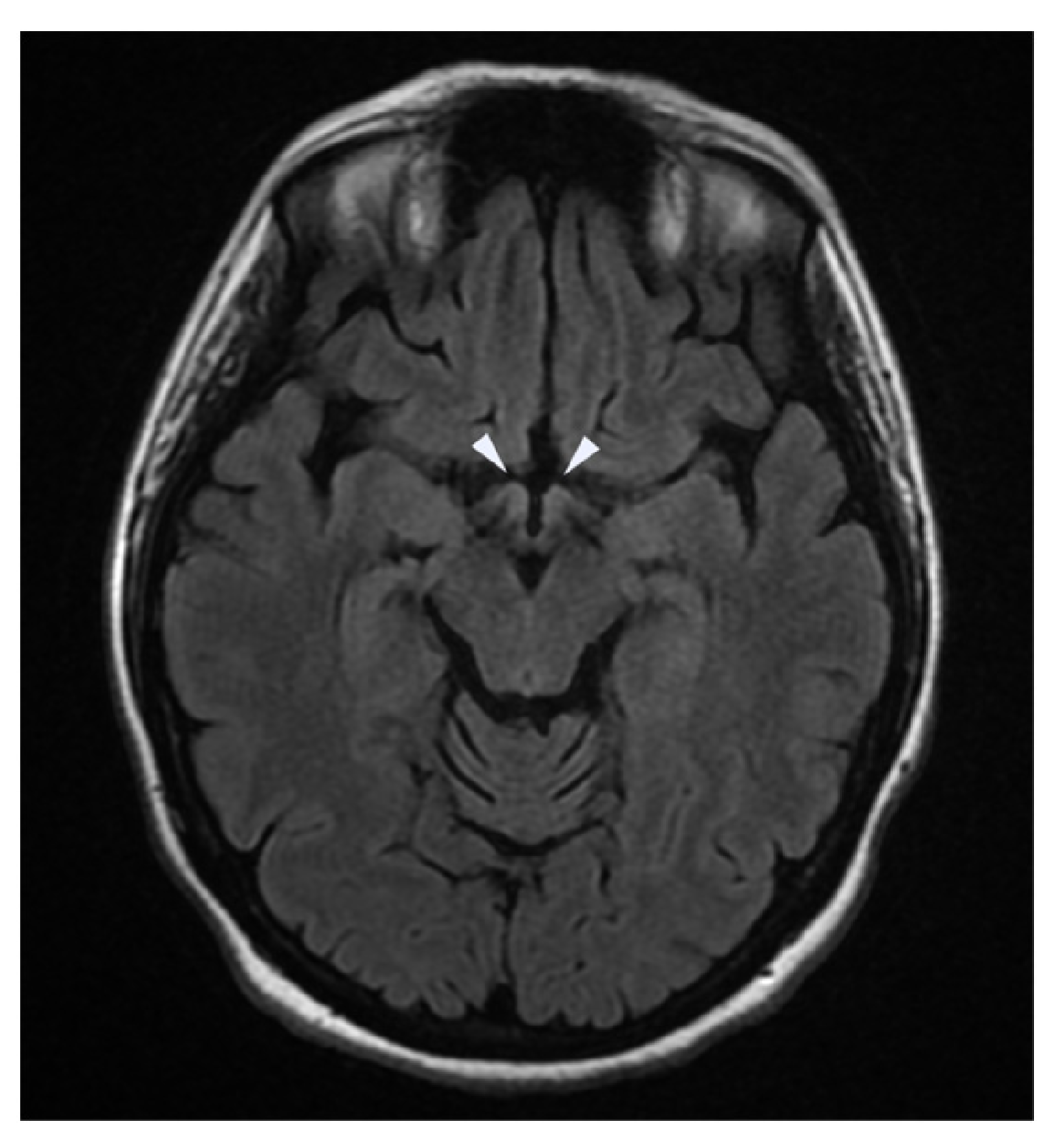 Neurolint 16 00018 g001
