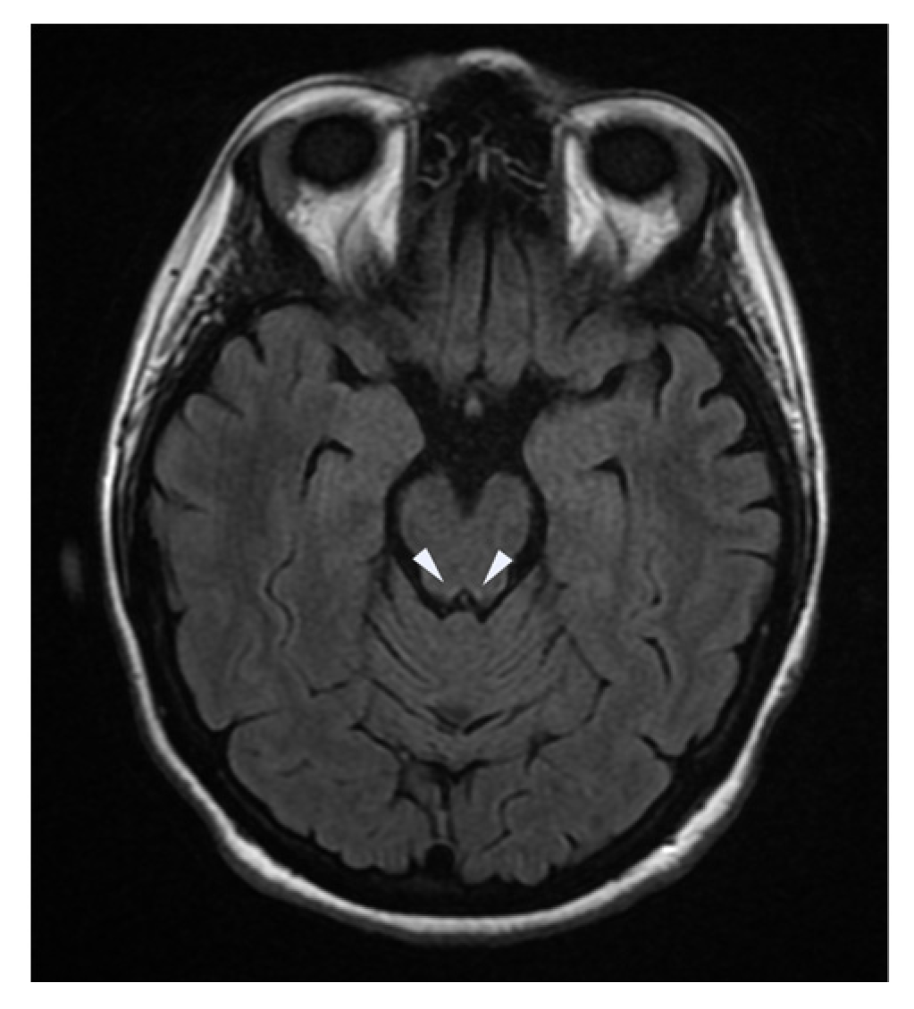 Neurolint 16 00018 g002