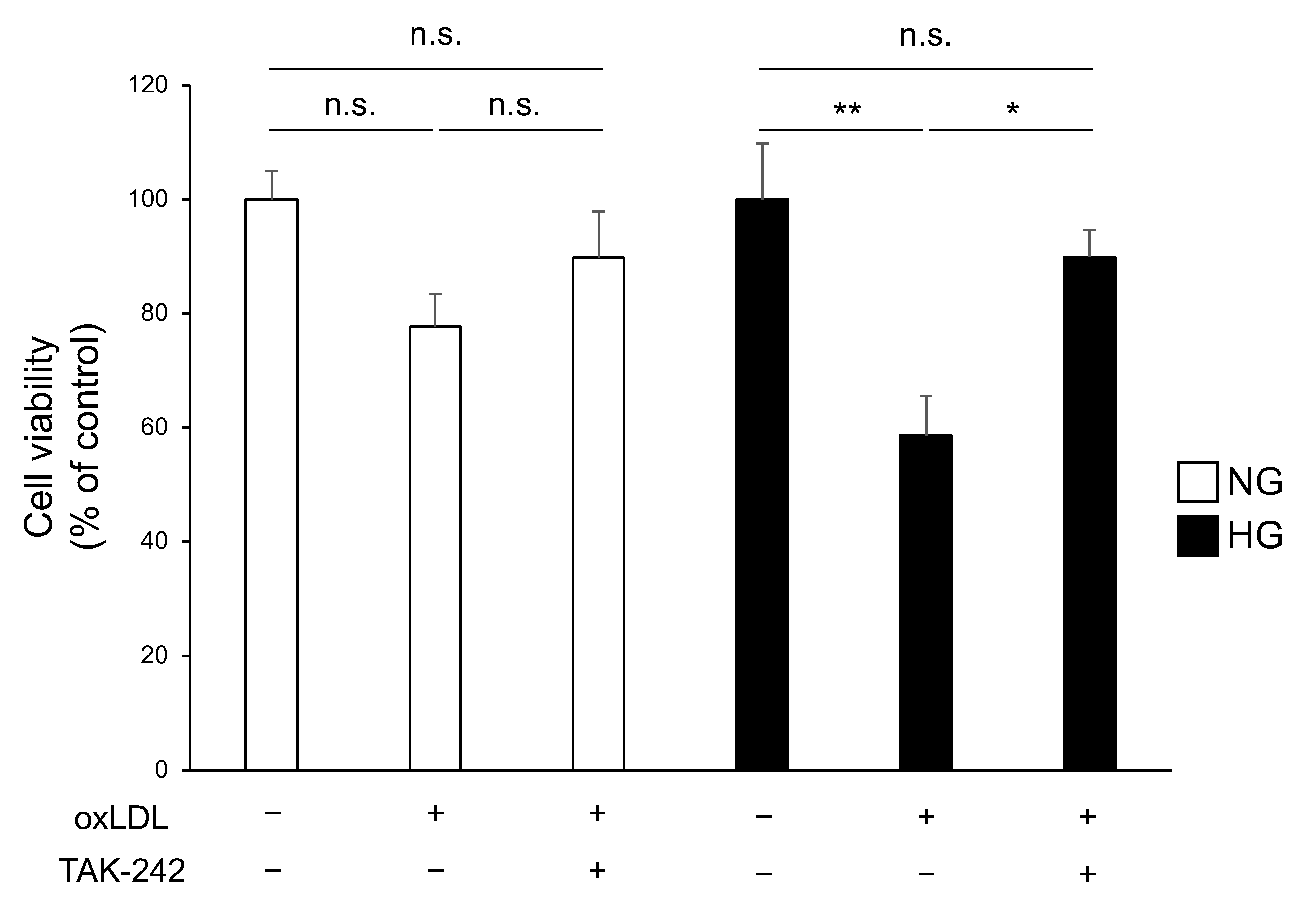 Neurolint 16 00027 g004 Neurolint 16 00027 g004