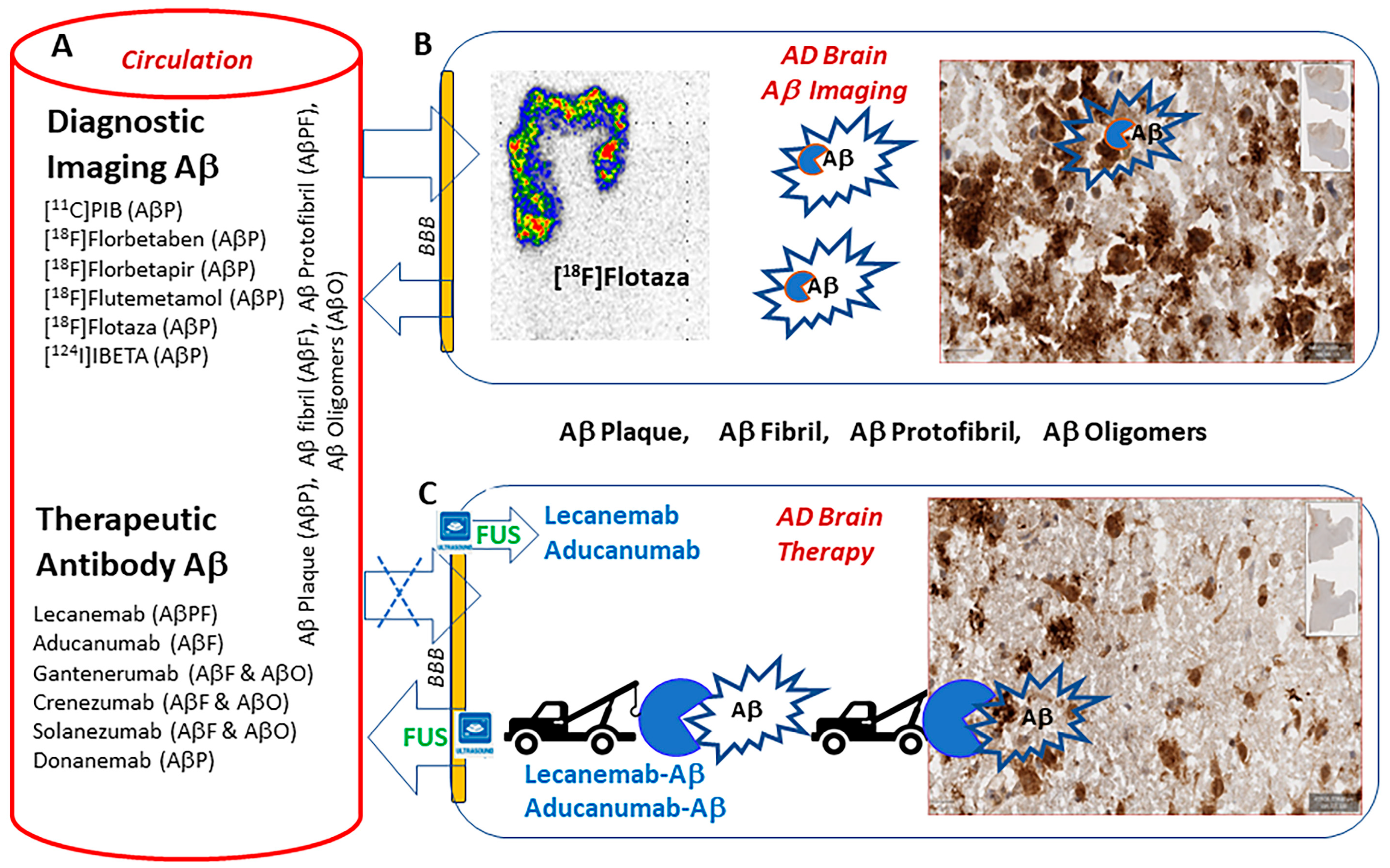 Neurolint 16 00031 g001 Neurolint 16 00031 g001