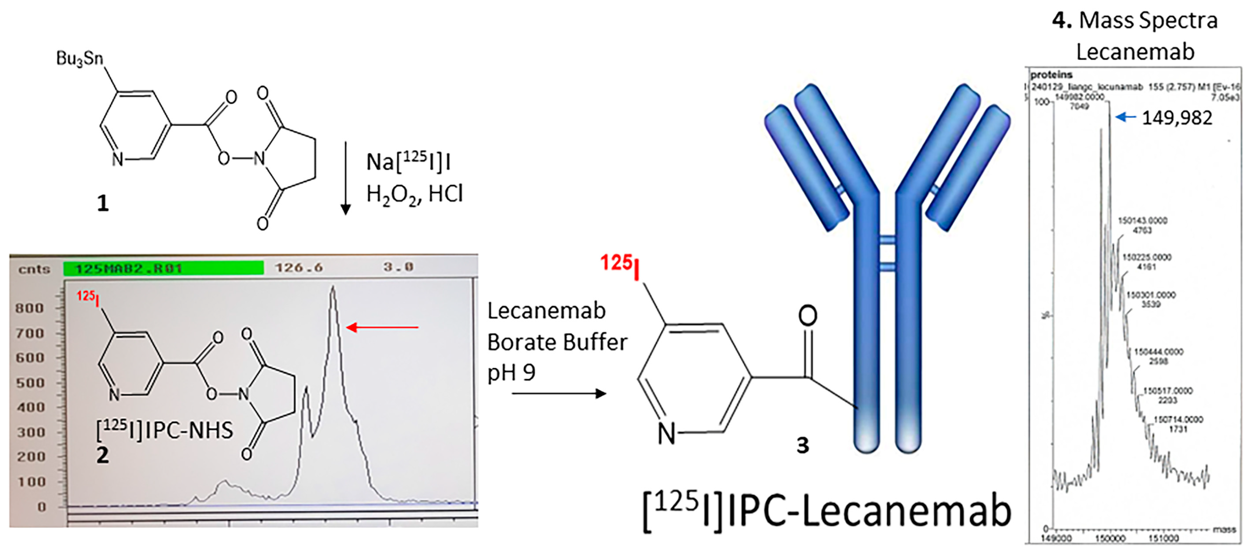 Neurolint 16 00031 g002 Neurolint 16 00031 g002