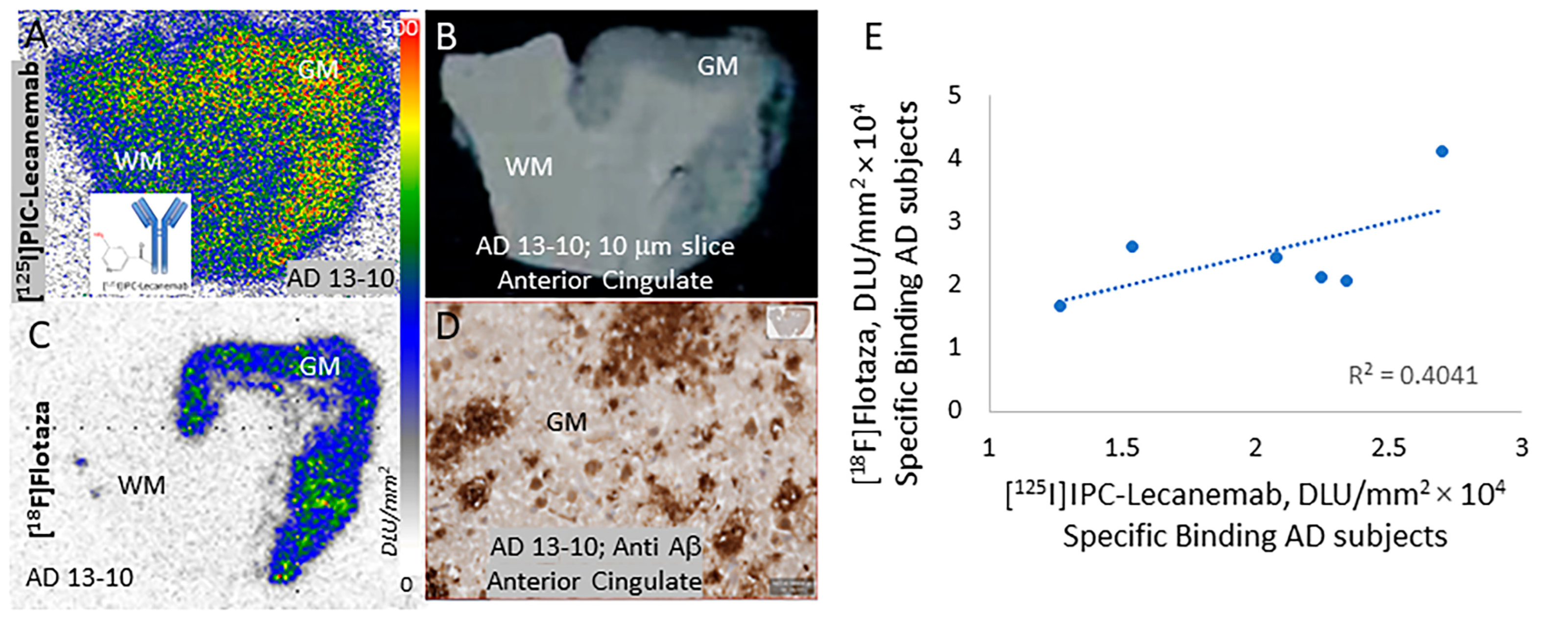 Neurolint 16 00031 g003 Neurolint 16 00031 g003