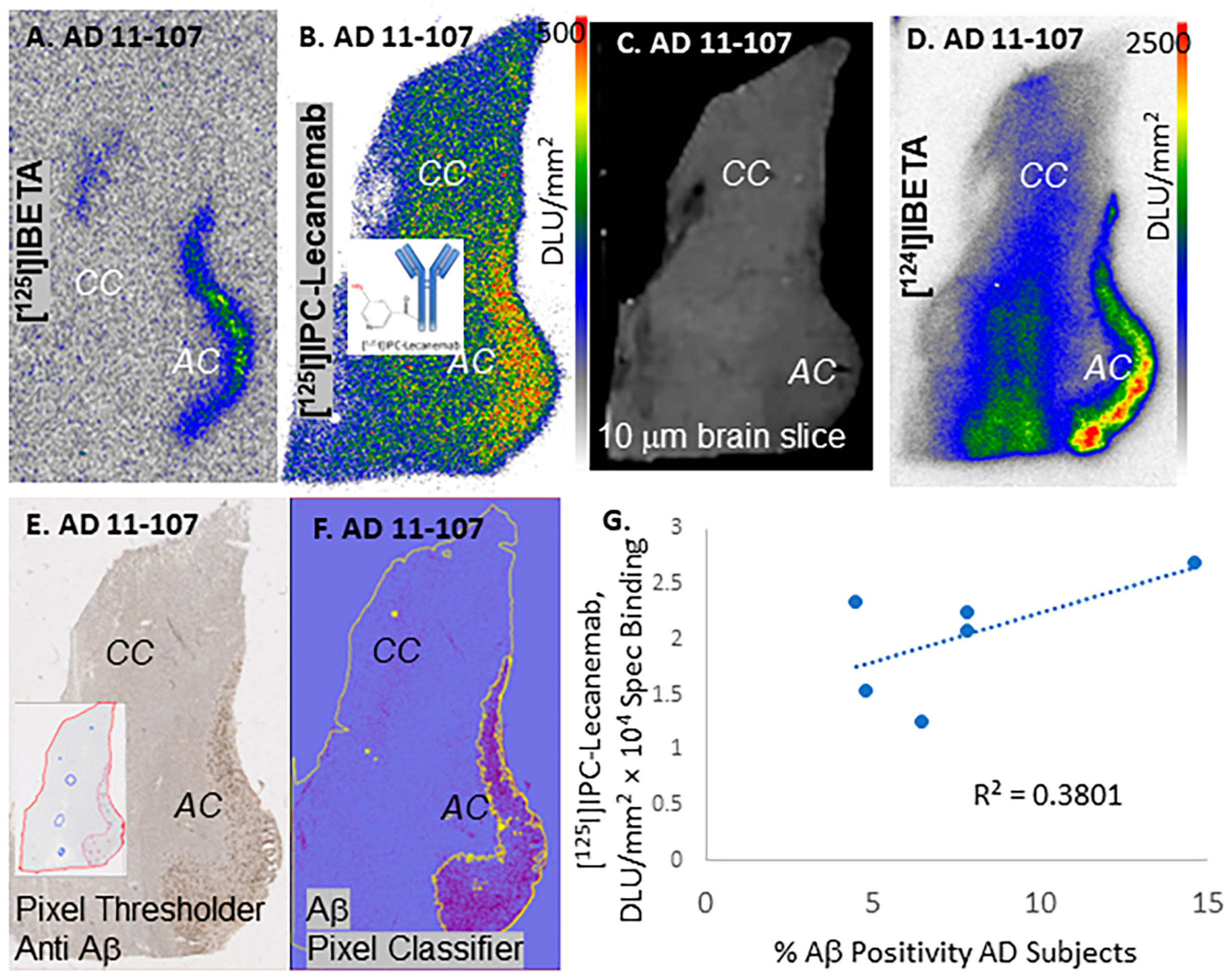 Neurolint 16 00031 g004 Neurolint 16 00031 g004