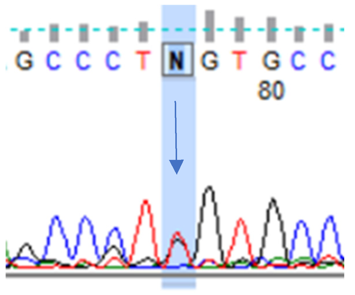Human Cytogenetics 第3版 3D structures of individual mammalian genomes studied by