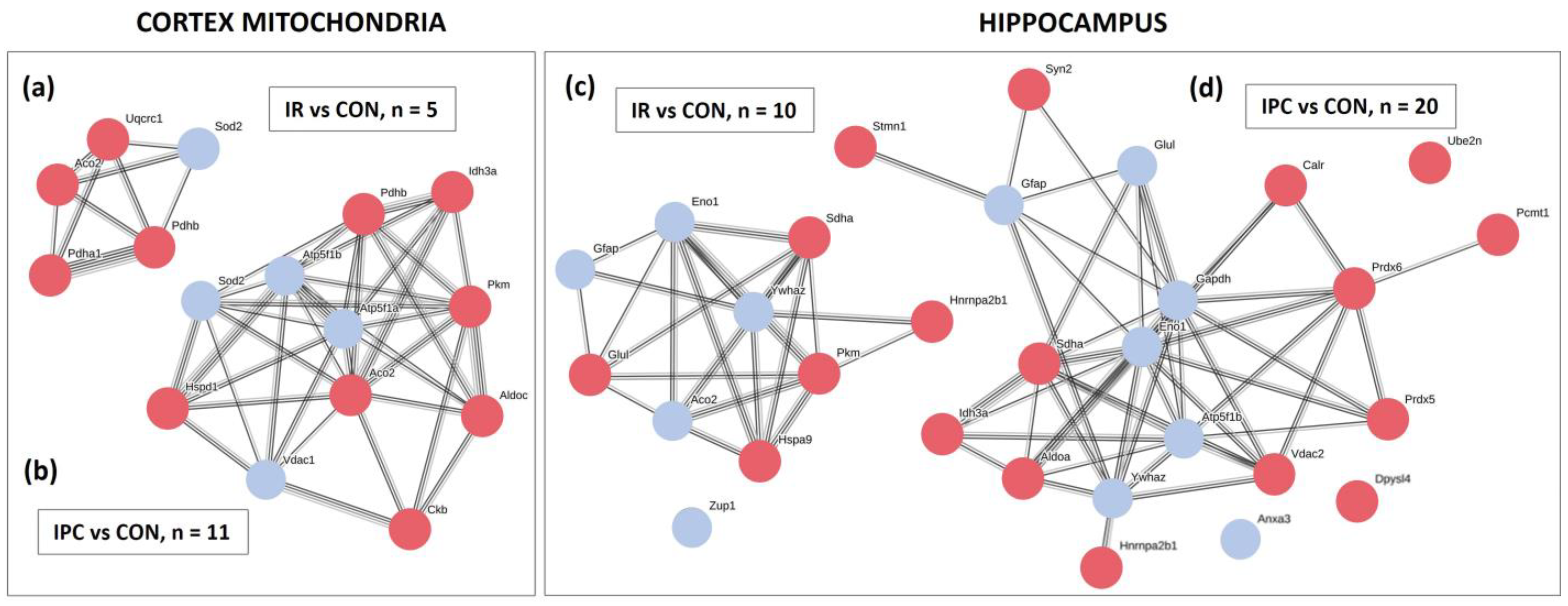 Neurolint 16 00040 g002 Neurolint 16 00040 g002