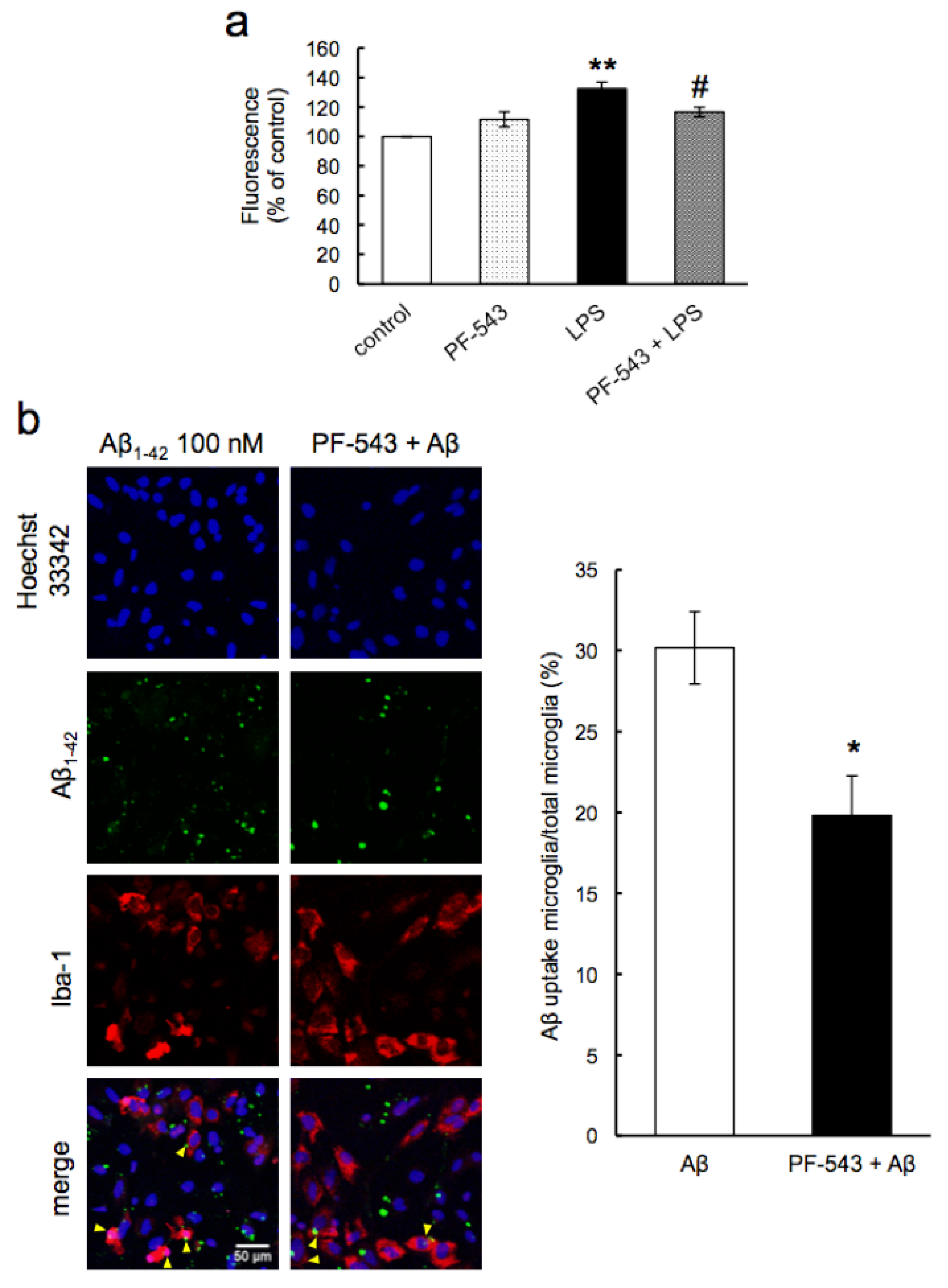 Neurolint 16 00054 g008