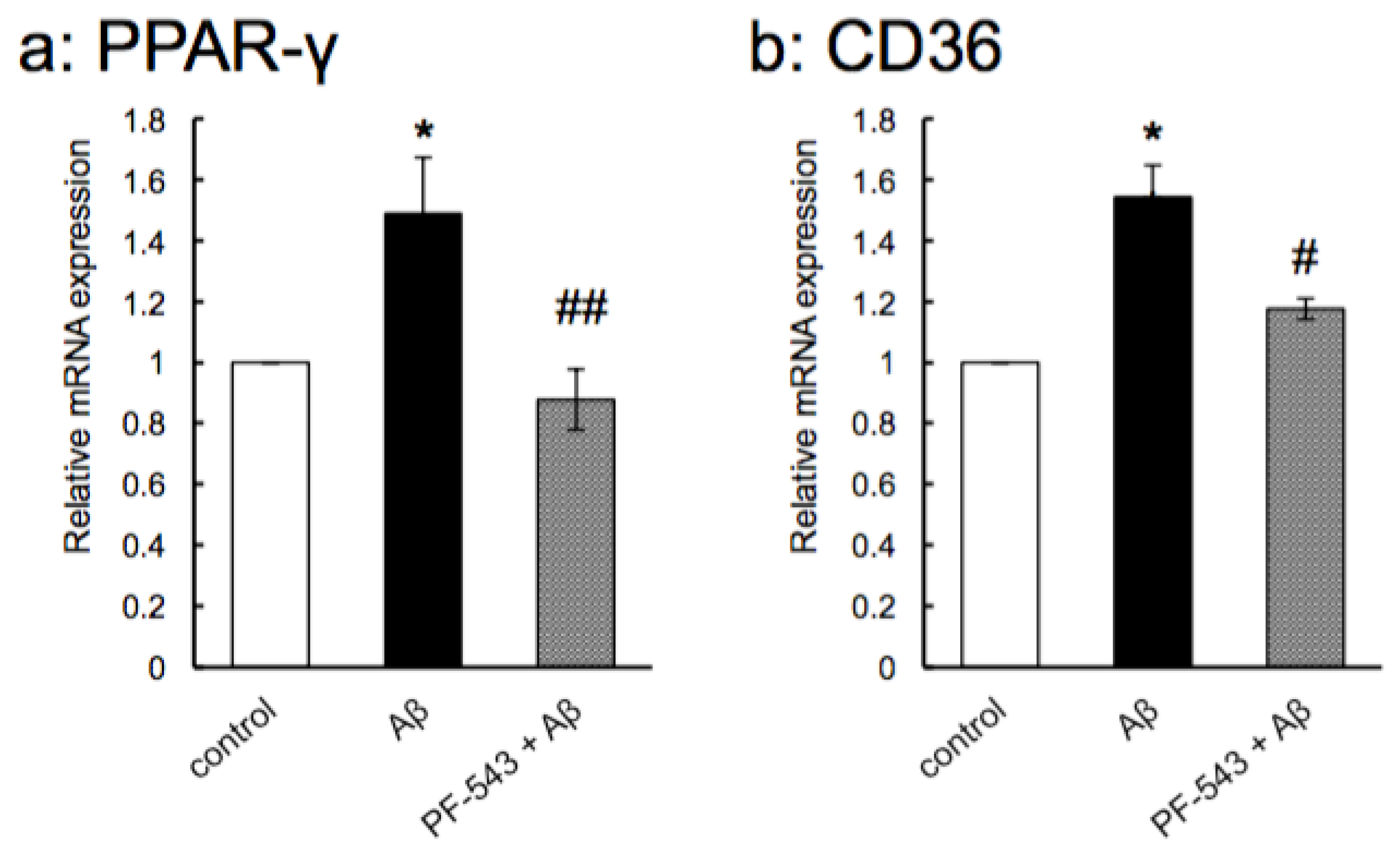 Neurolint 16 00054 g011