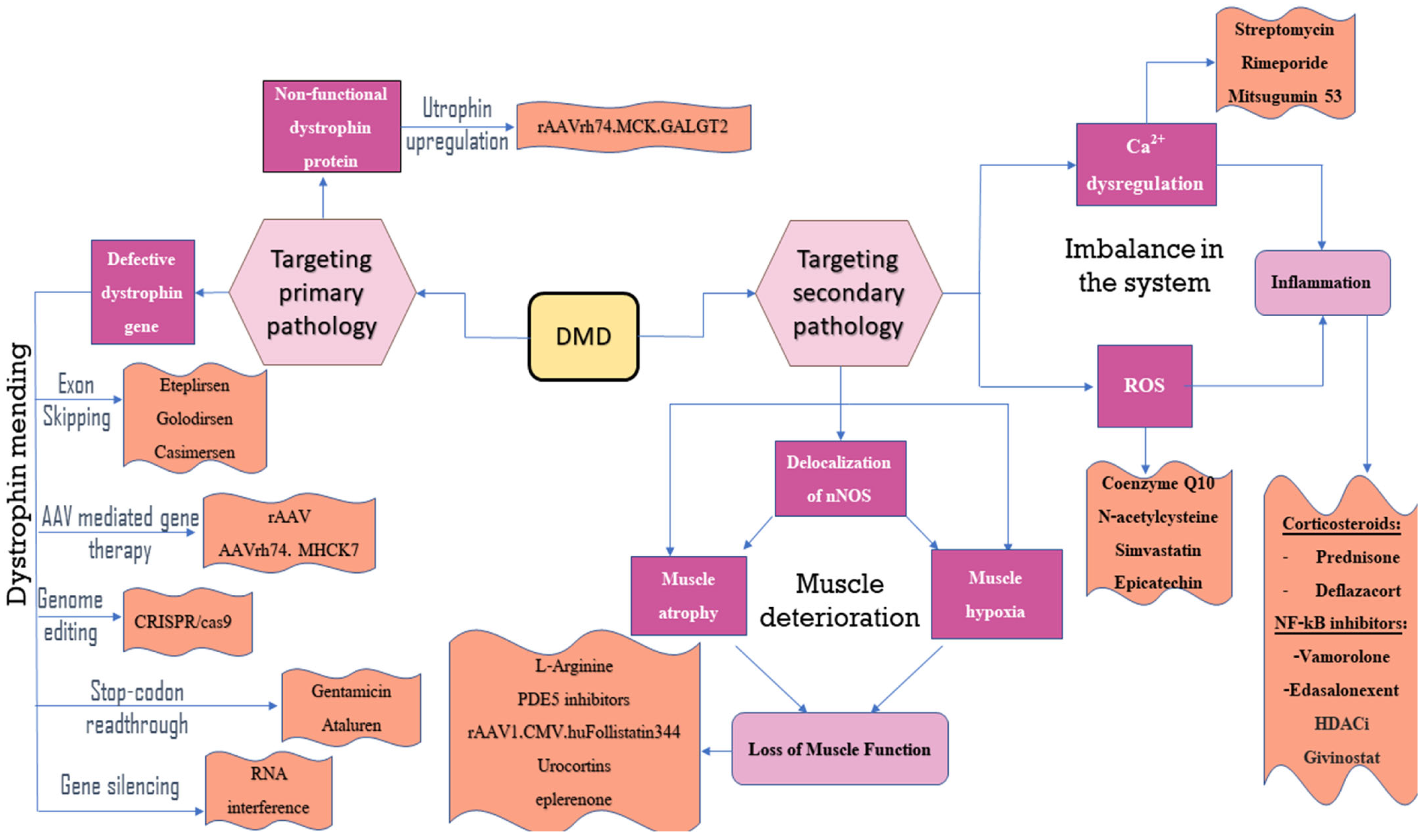 Neurolint 16 00055 g002