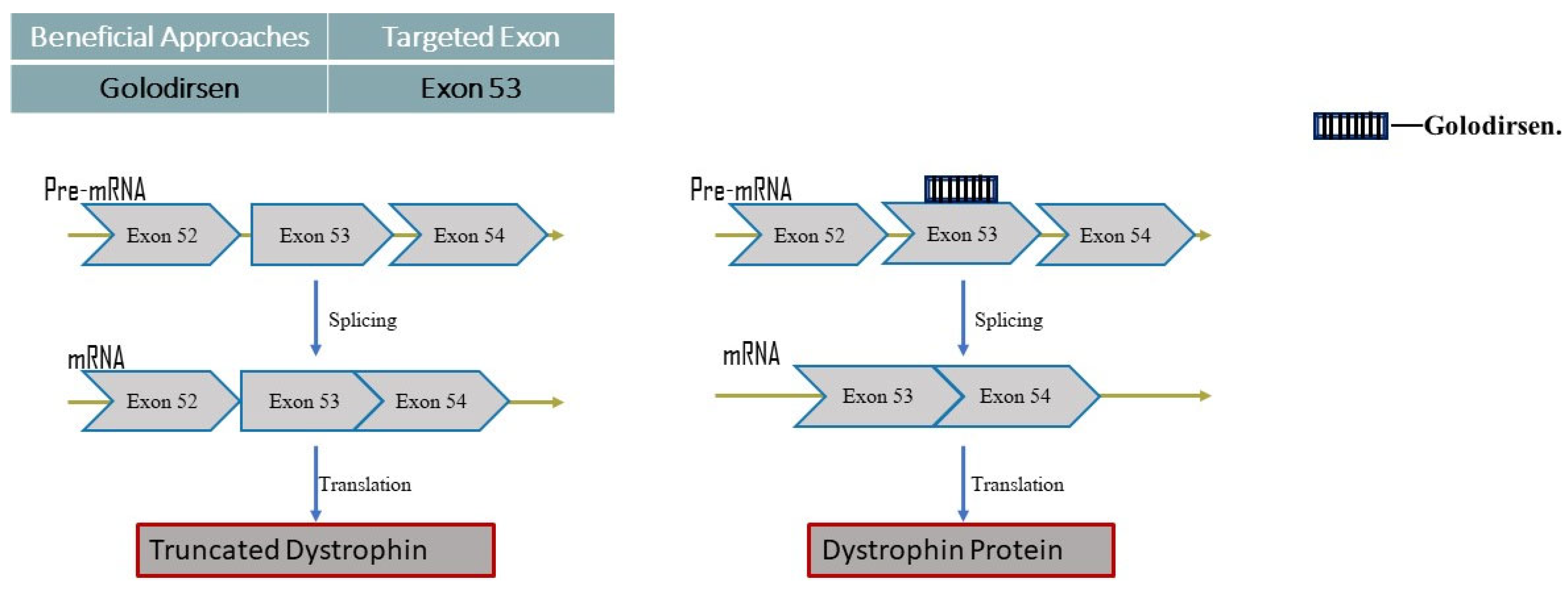 Neurolint 16 00055 g005
