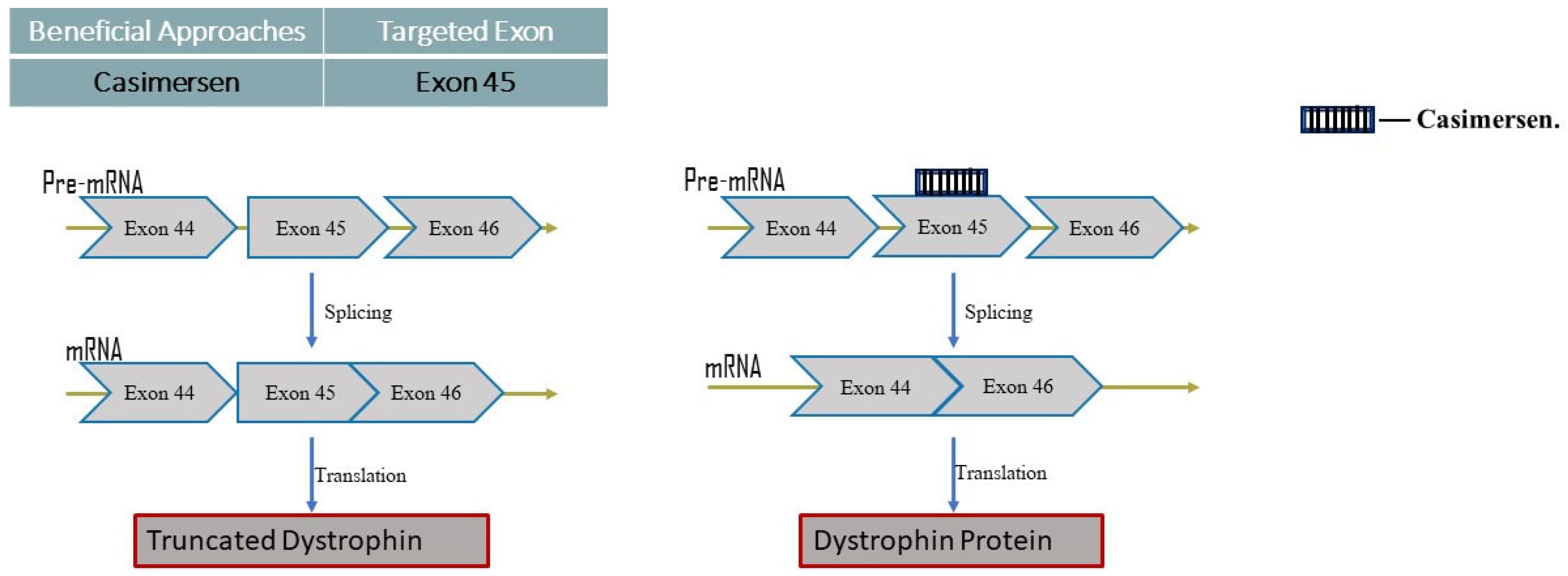 Neurolint 16 00055 g006
