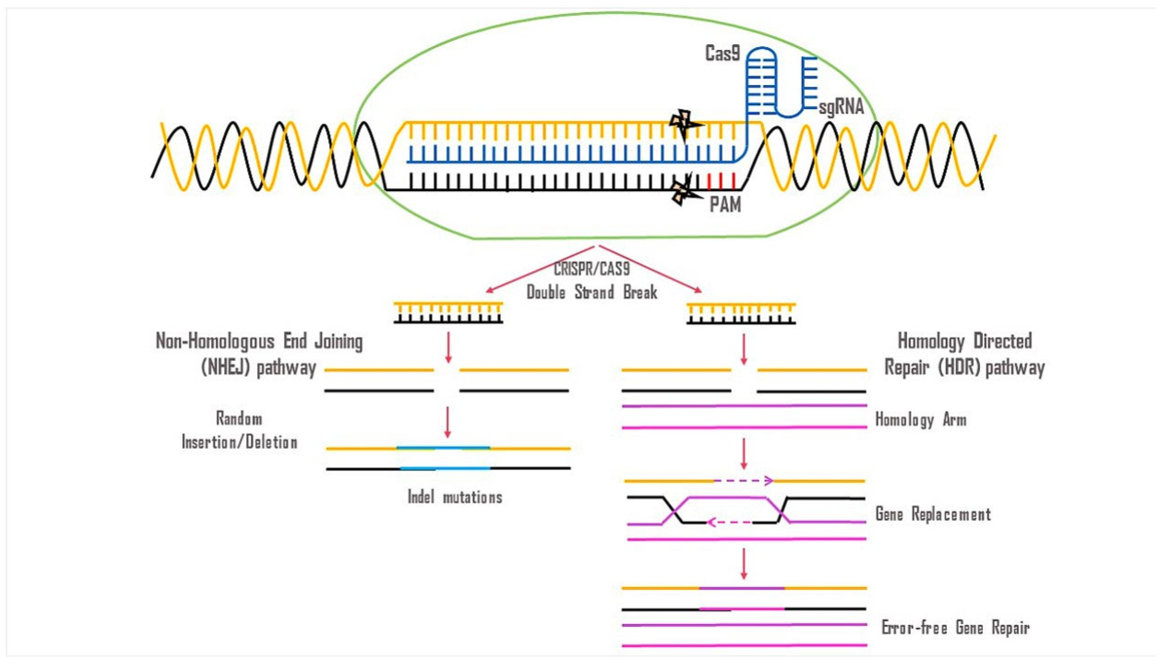 Neurolint 16 00055 g007