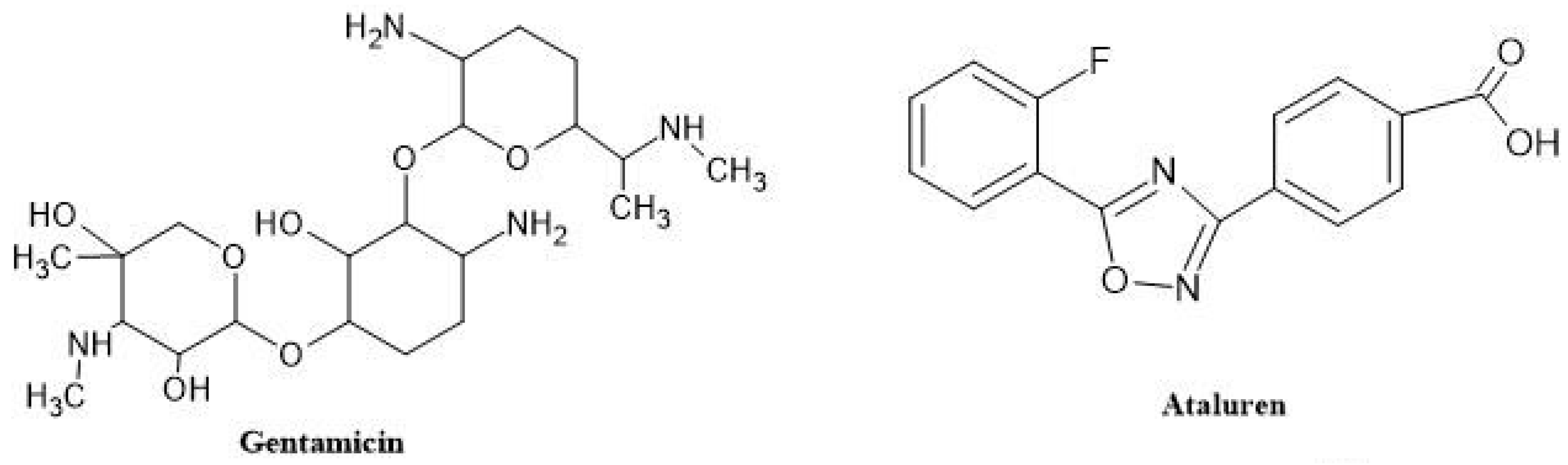 Neurolint 16 00055 g009