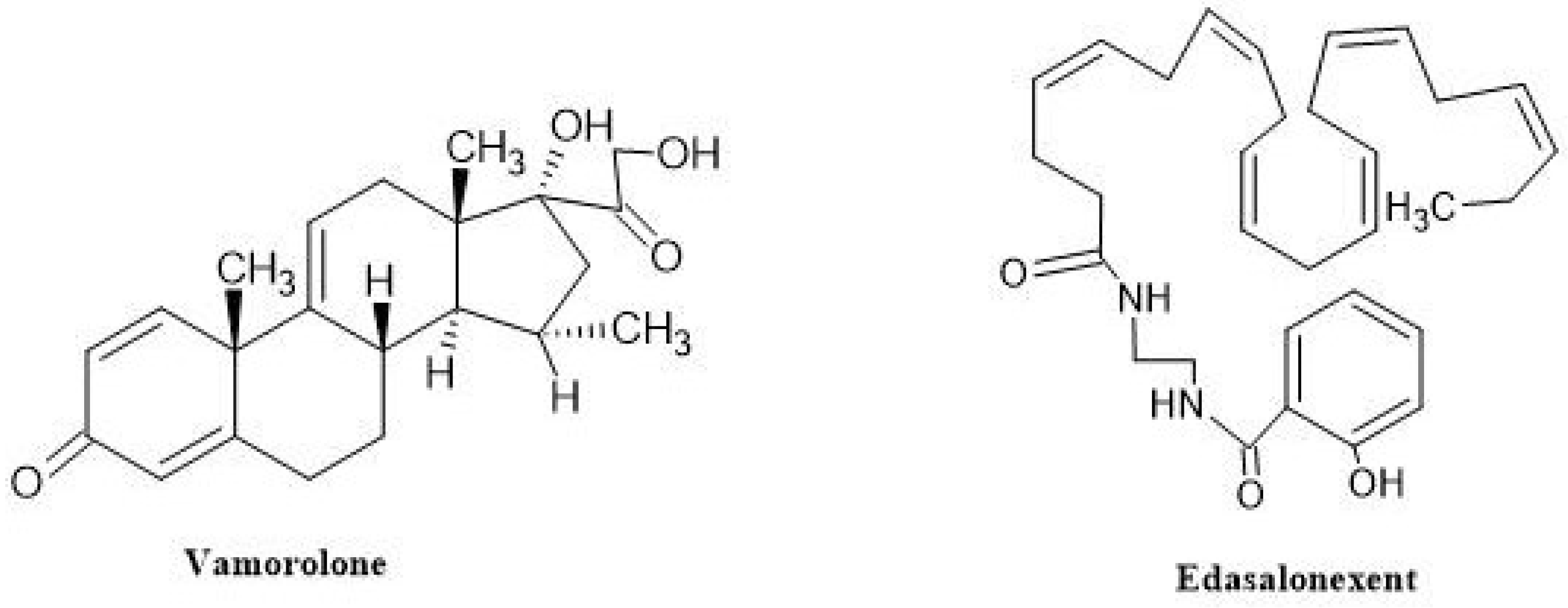 Neurolint 16 00055 g011