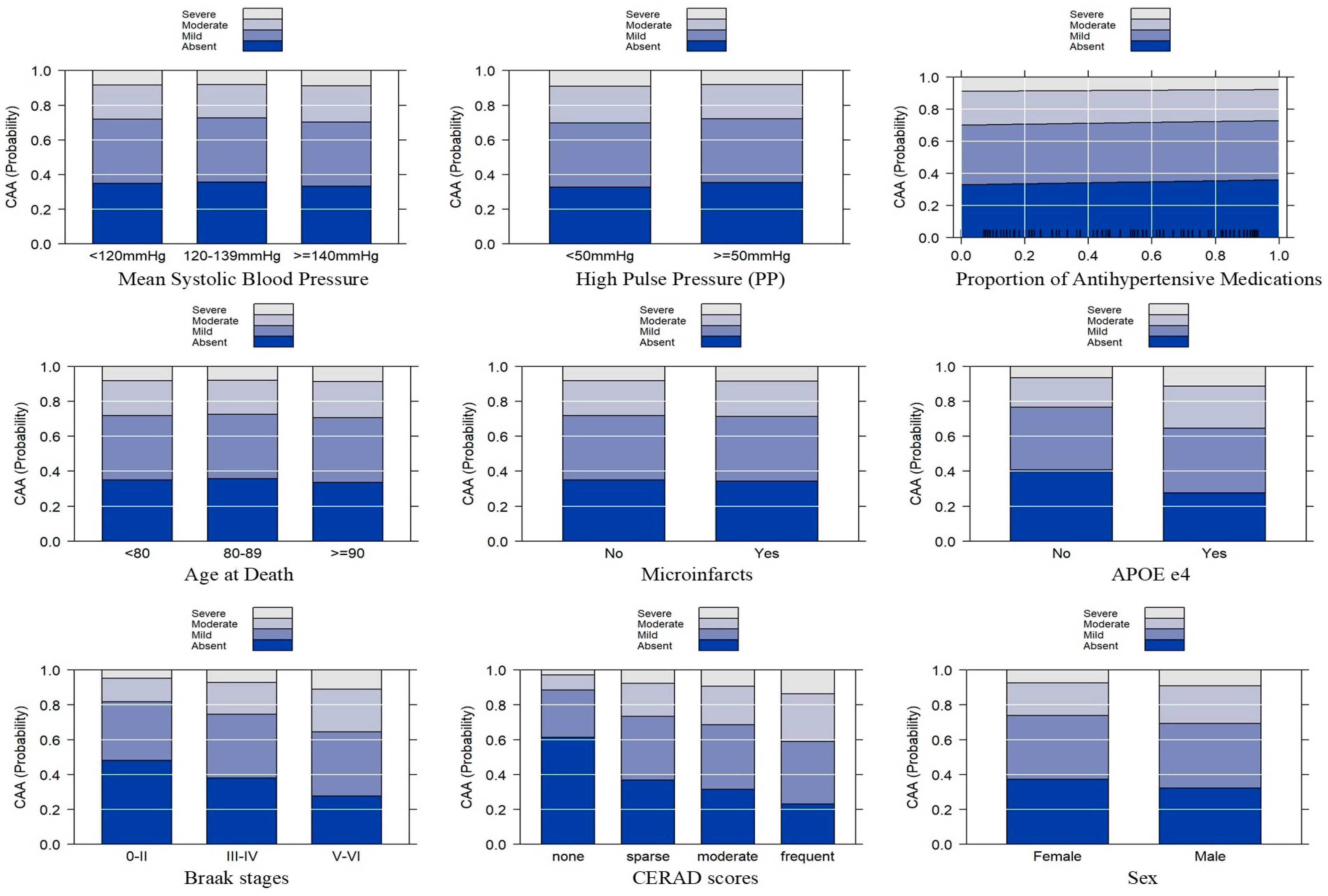Neurolint 16 00061 g002