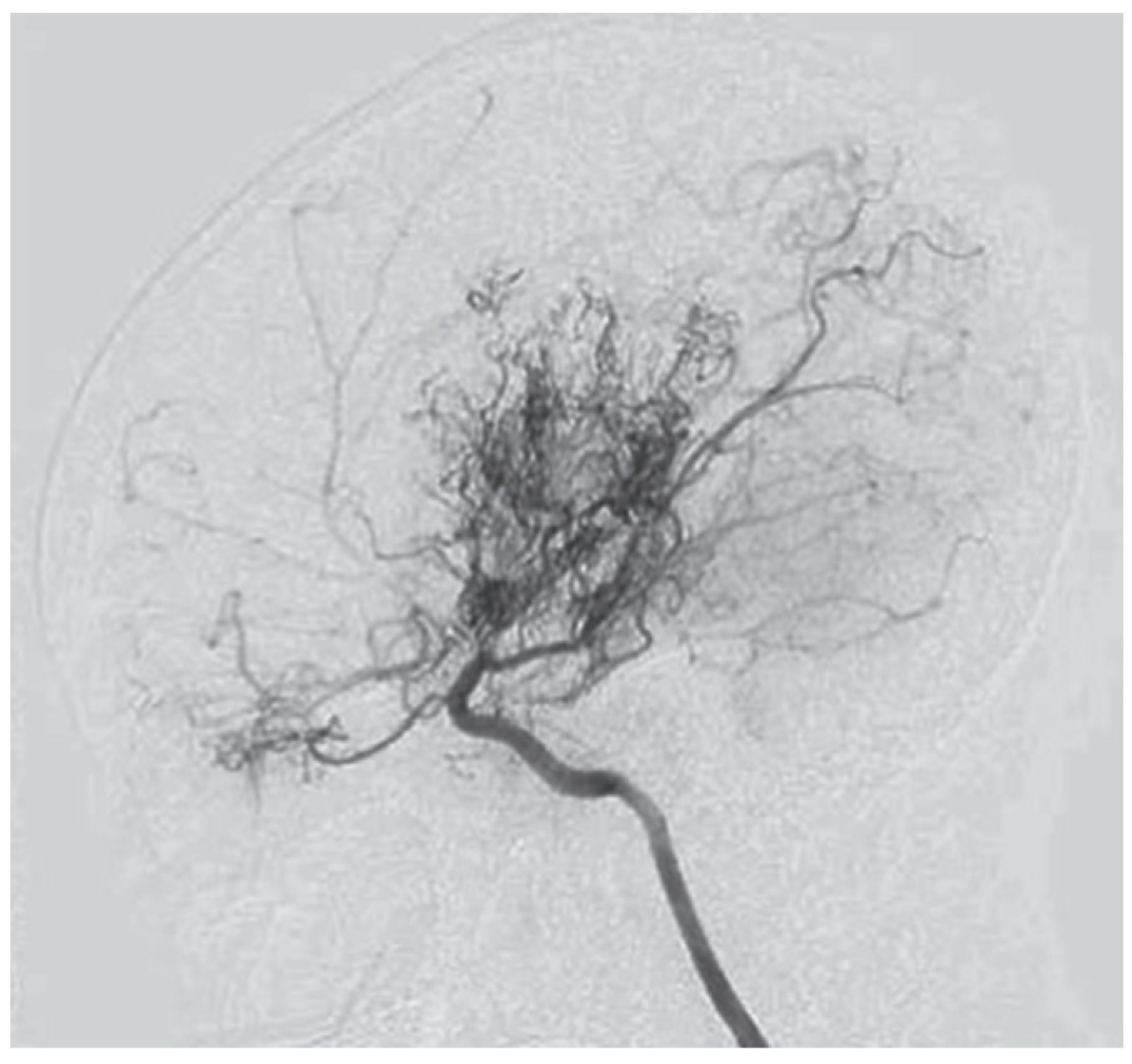 Neurolint 16 00065 g001
