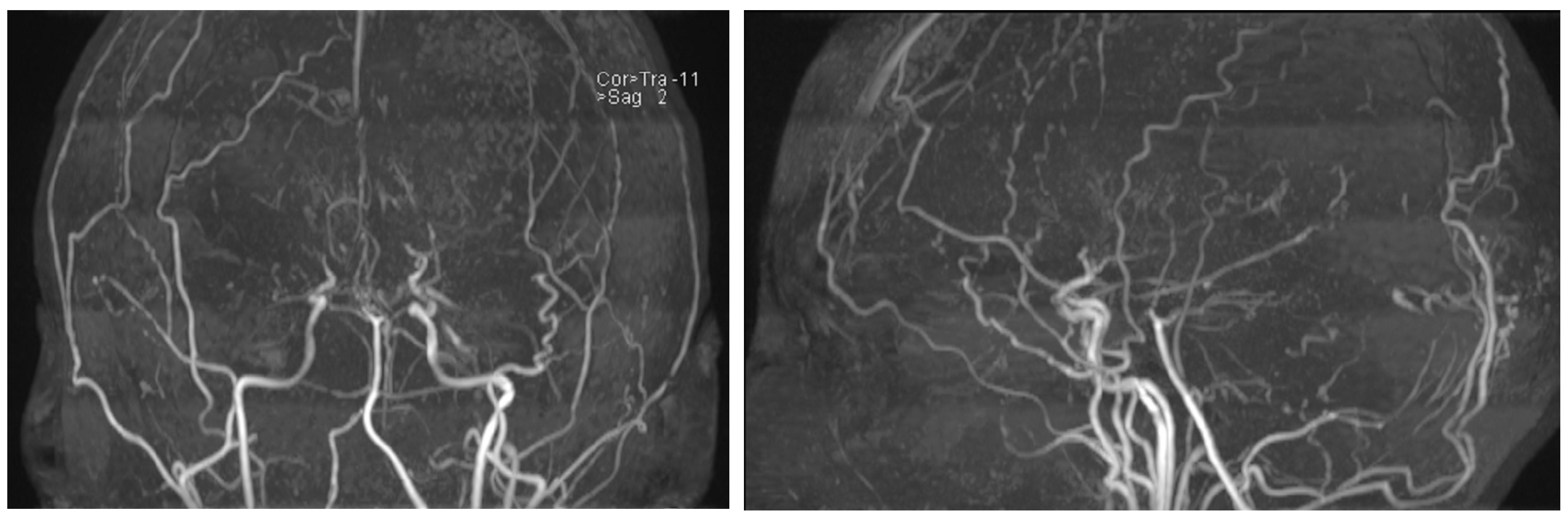 Neurolint 16 00065 g004