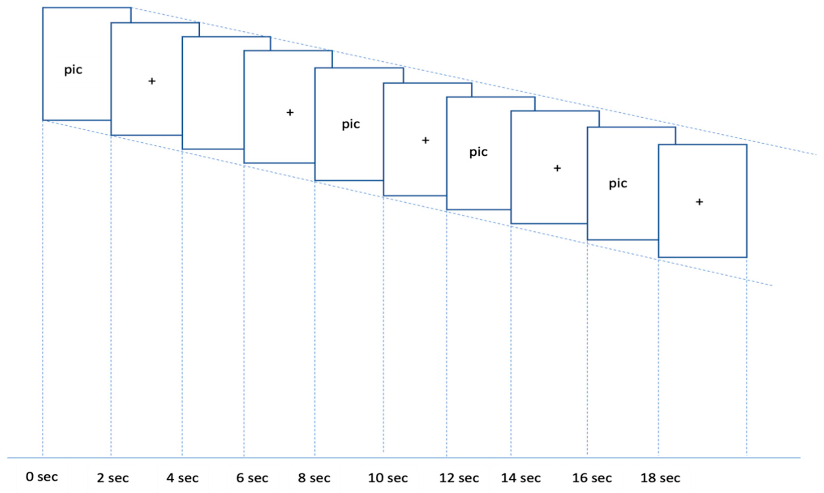 Neurolint 16 00069 g002