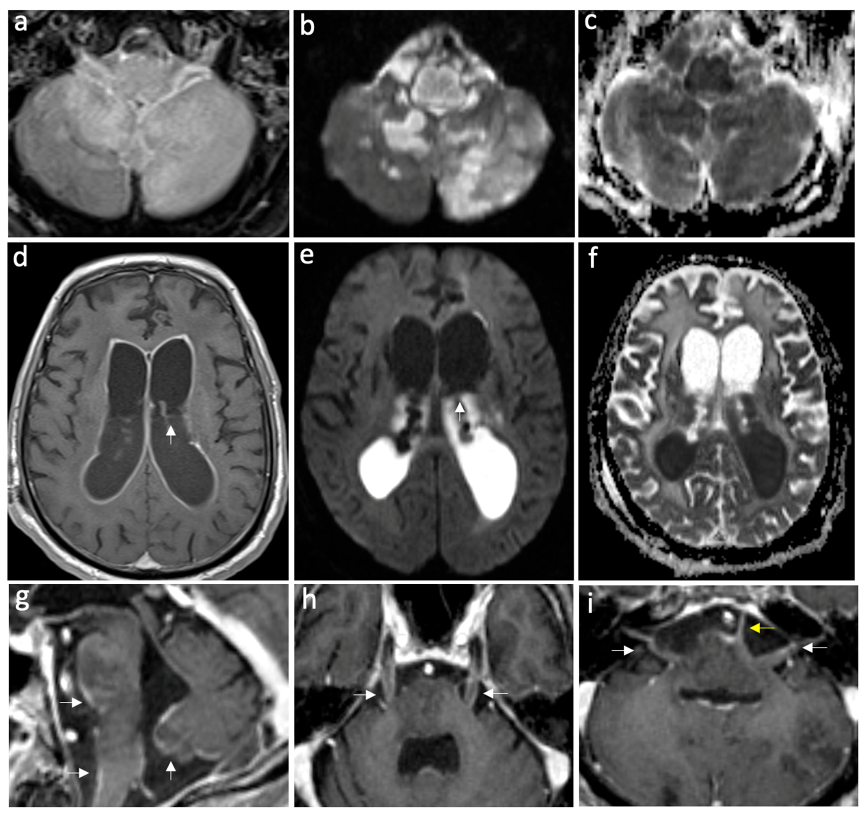 Neurolint 16 00073 g002