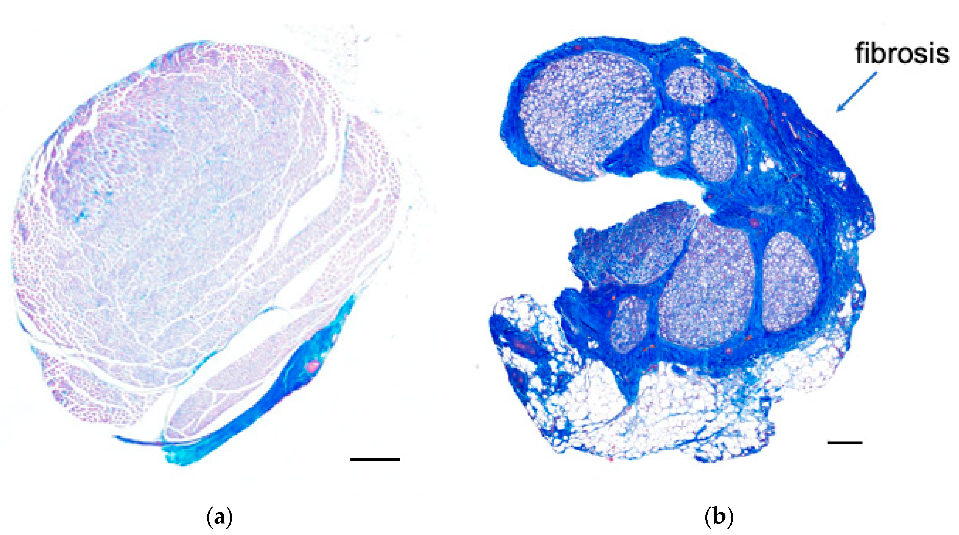 Neurolint 16 00074 g008